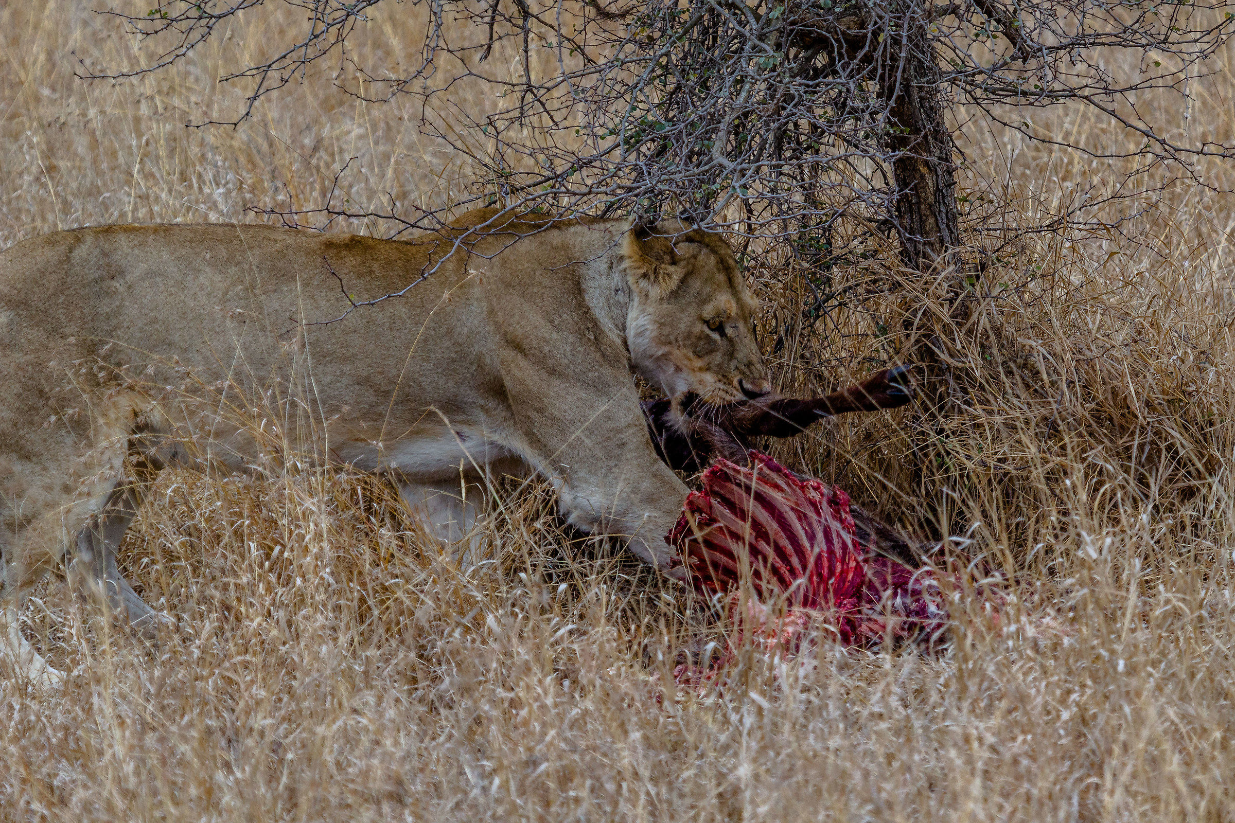 La legge della Natura