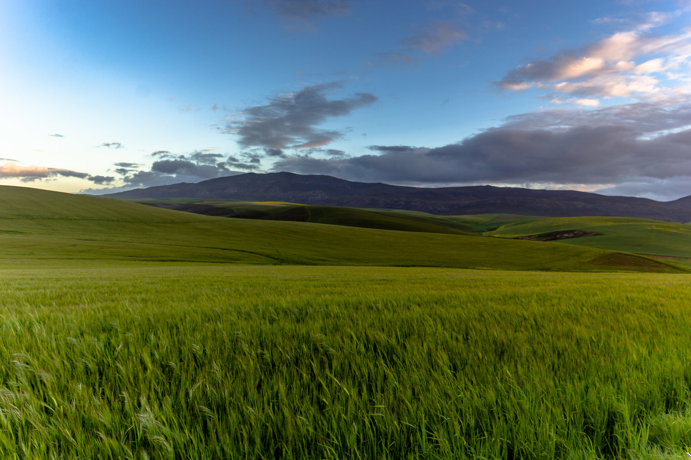 Colline di Windows XP in Sudafrica