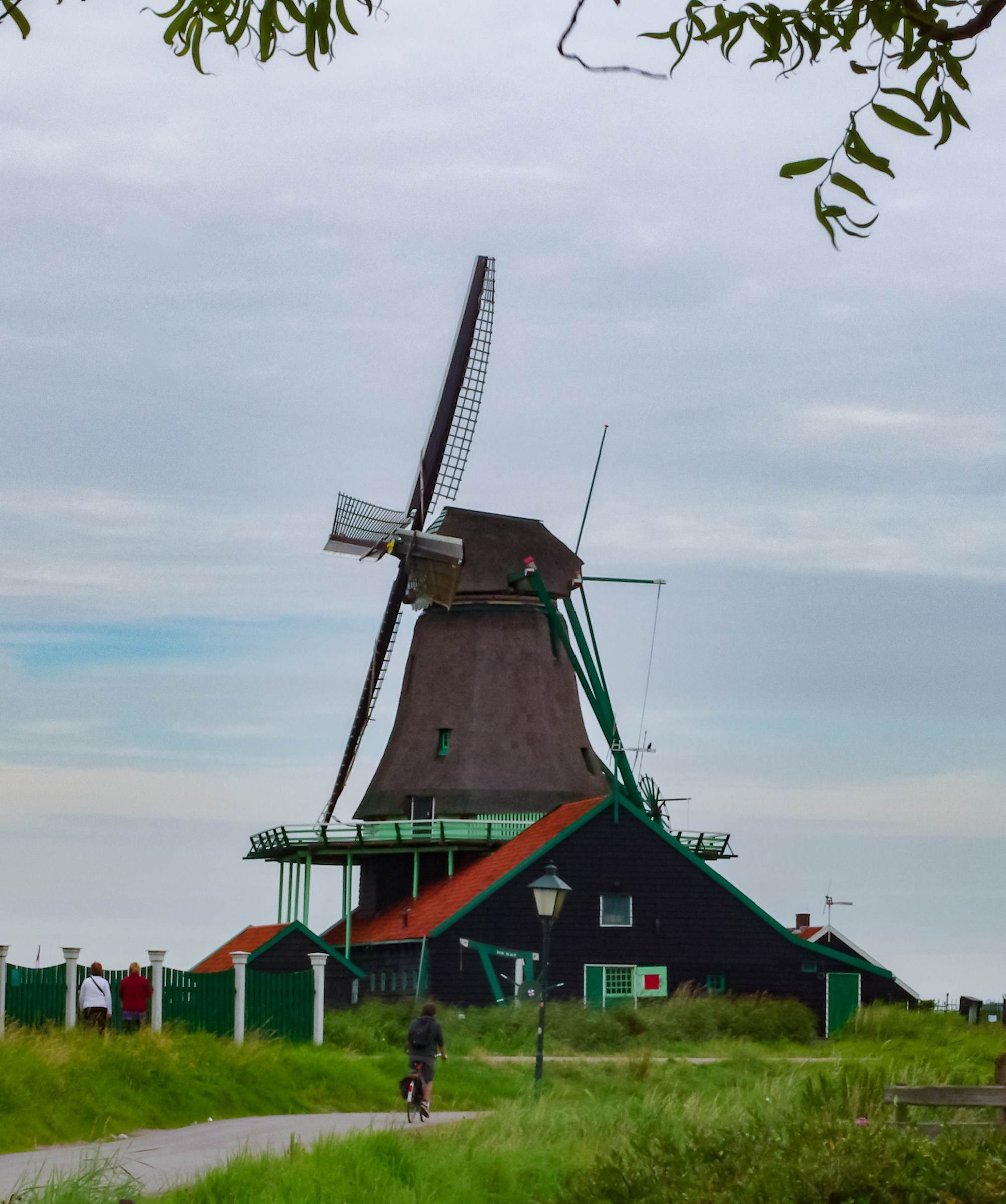 nei dintorni di Amsterdam