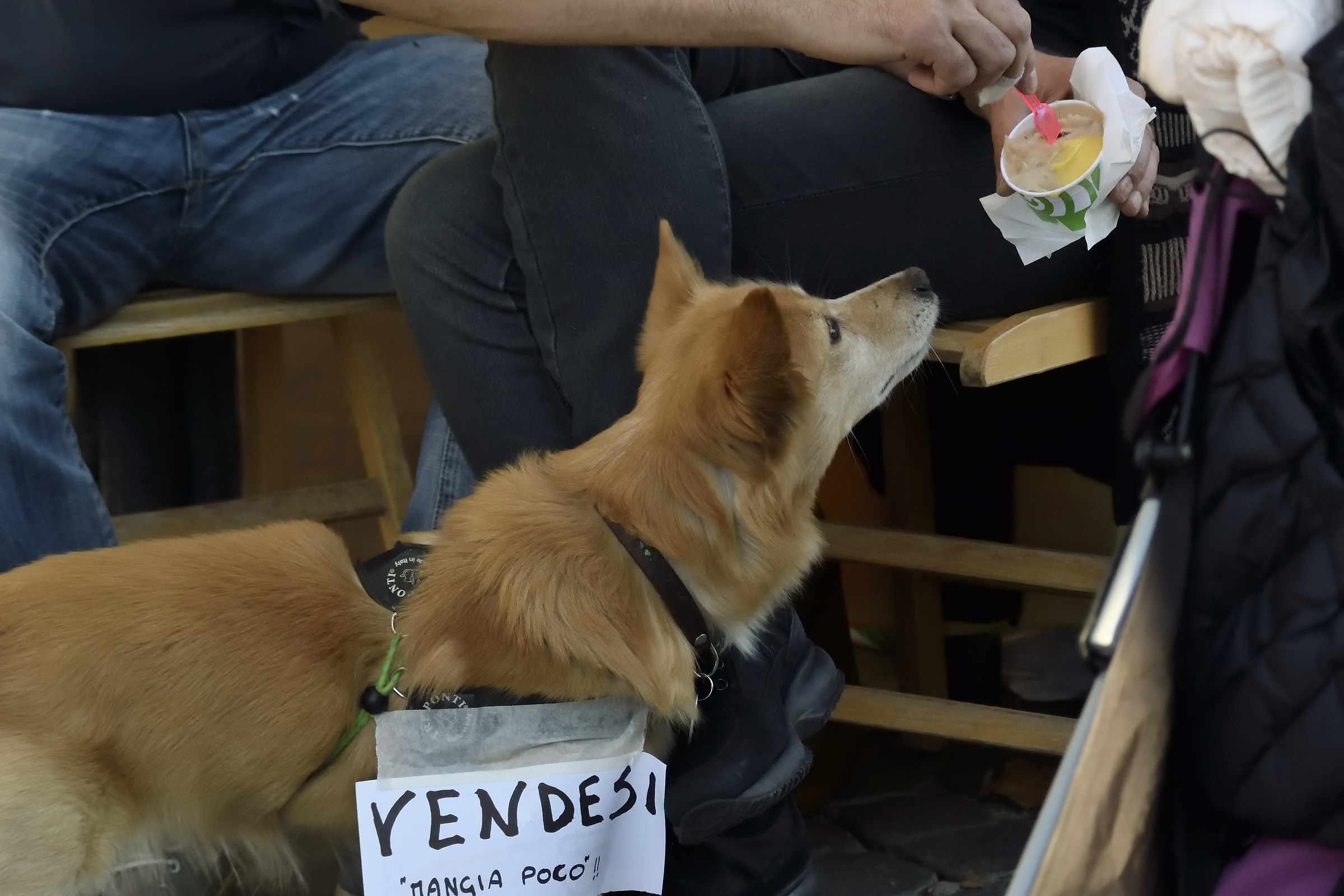 Mangio poco .. purtroppo