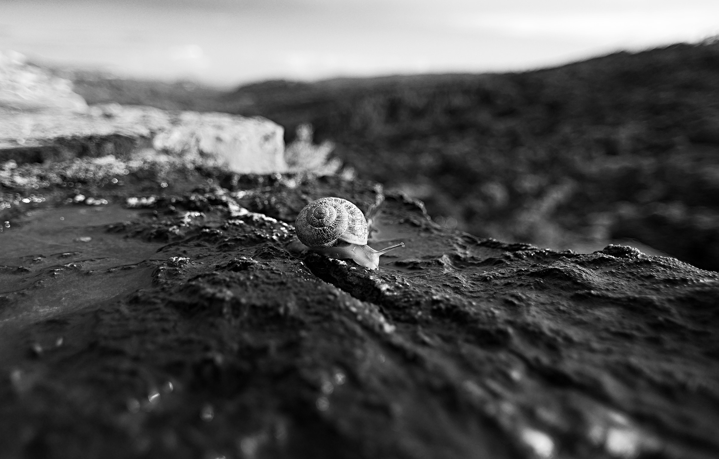 Oltre il limite di velocità