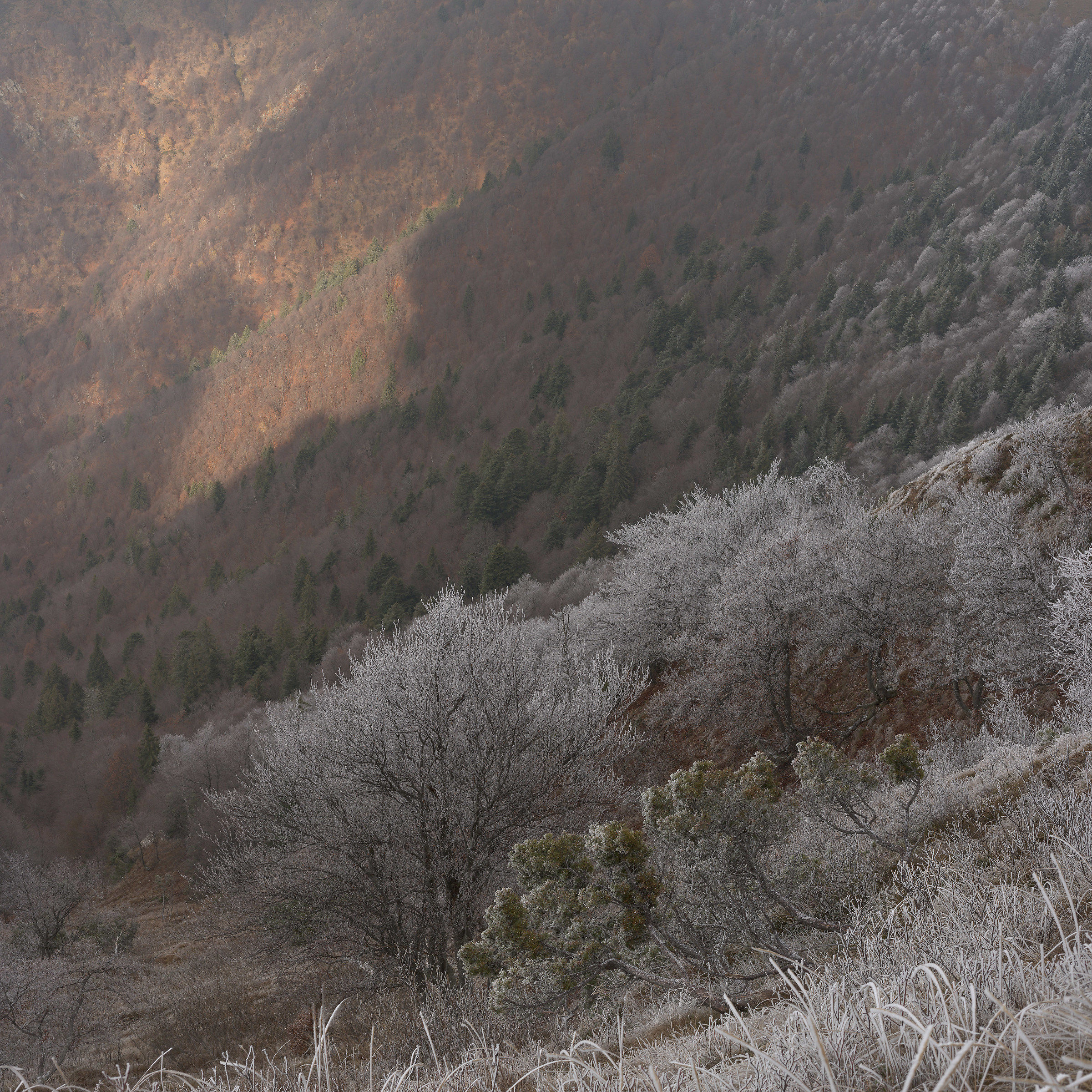 Versante nord-ovest della Grona