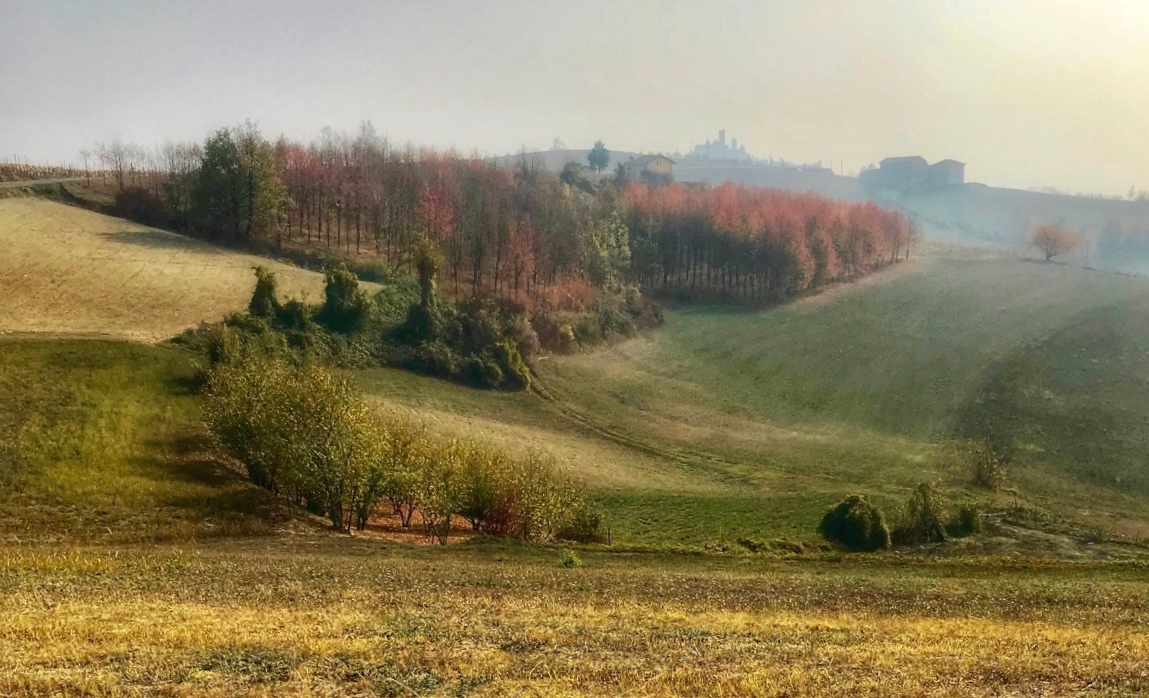 The Langa you don't expect