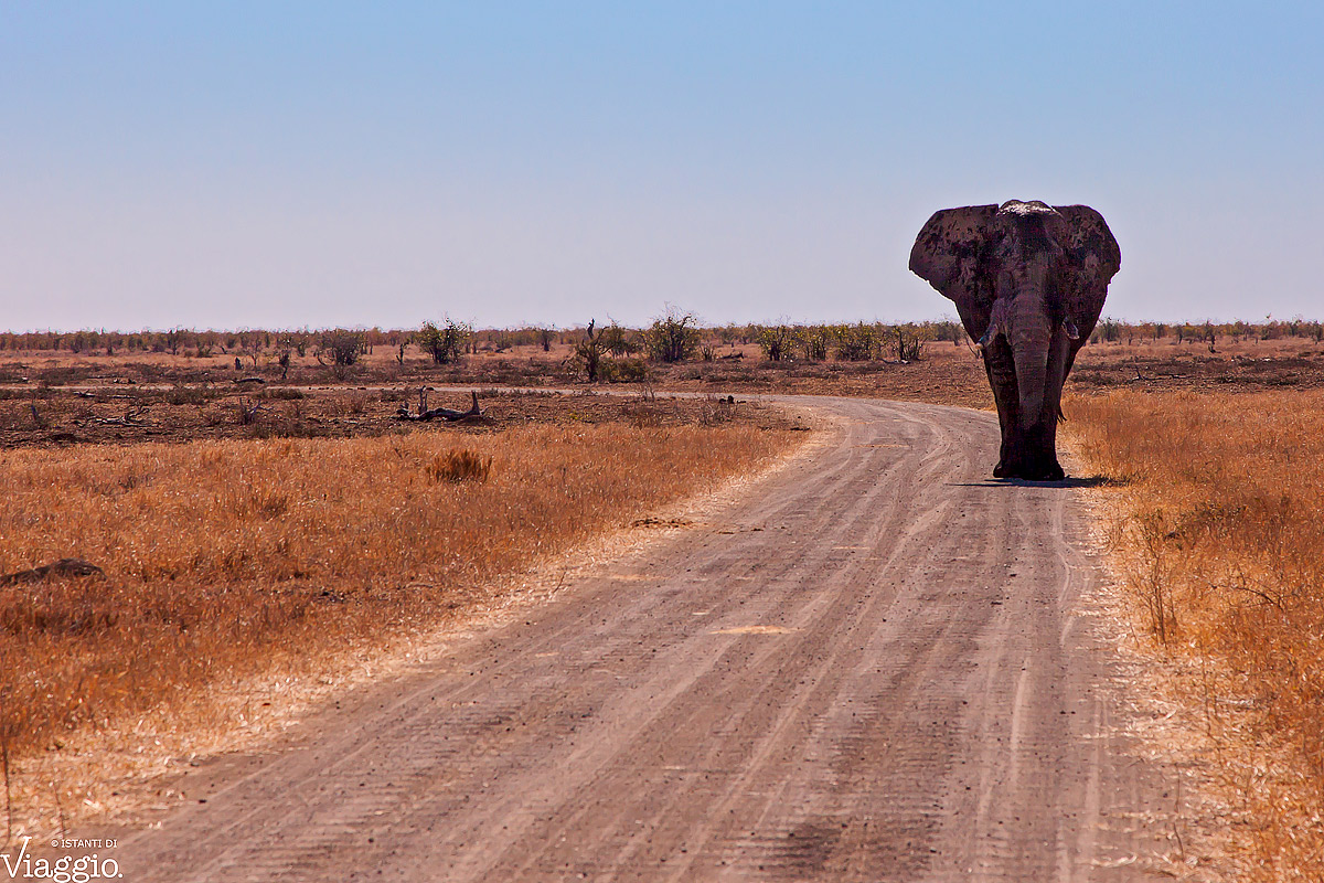 The inevitable previously.