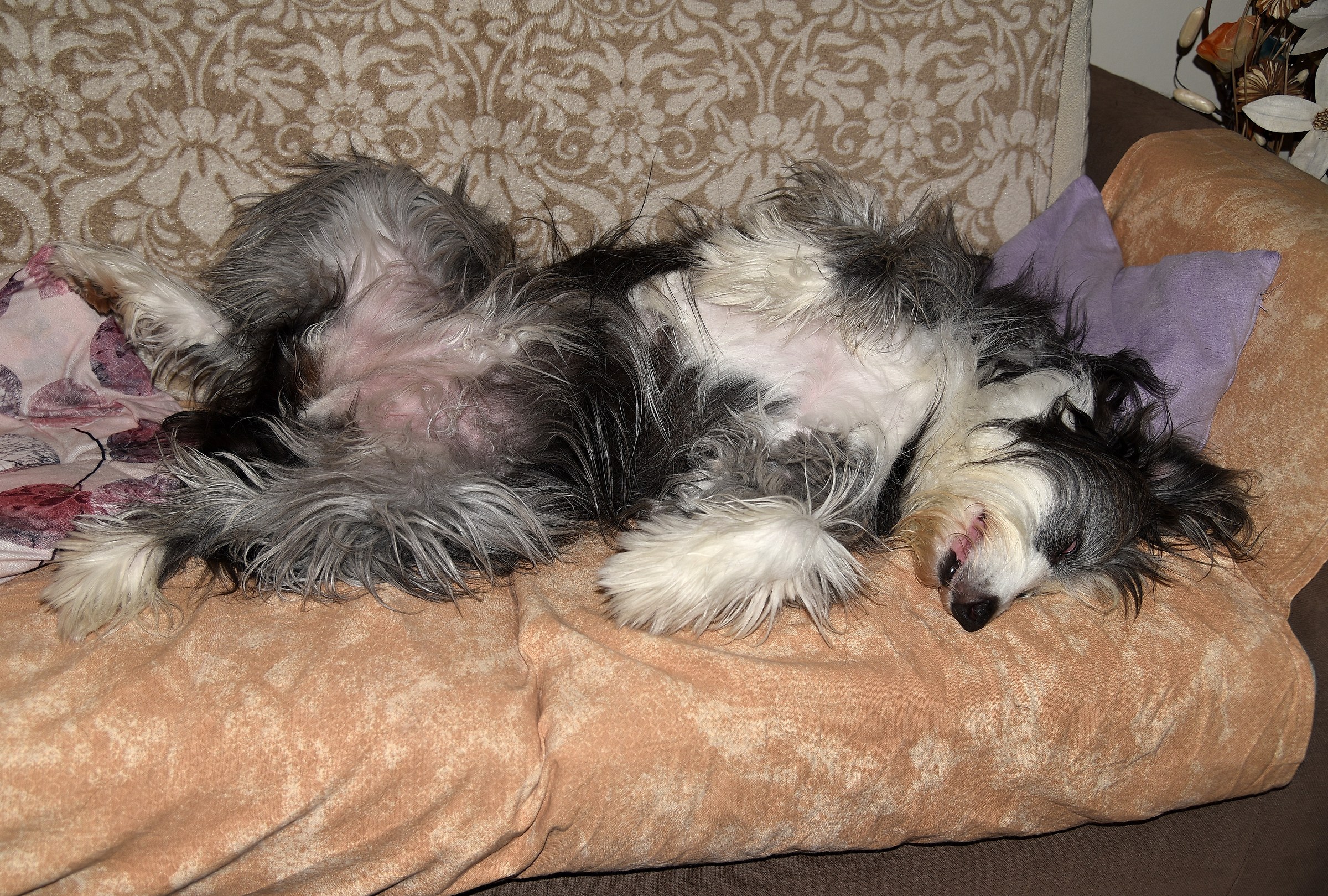 But can you sleep that way?