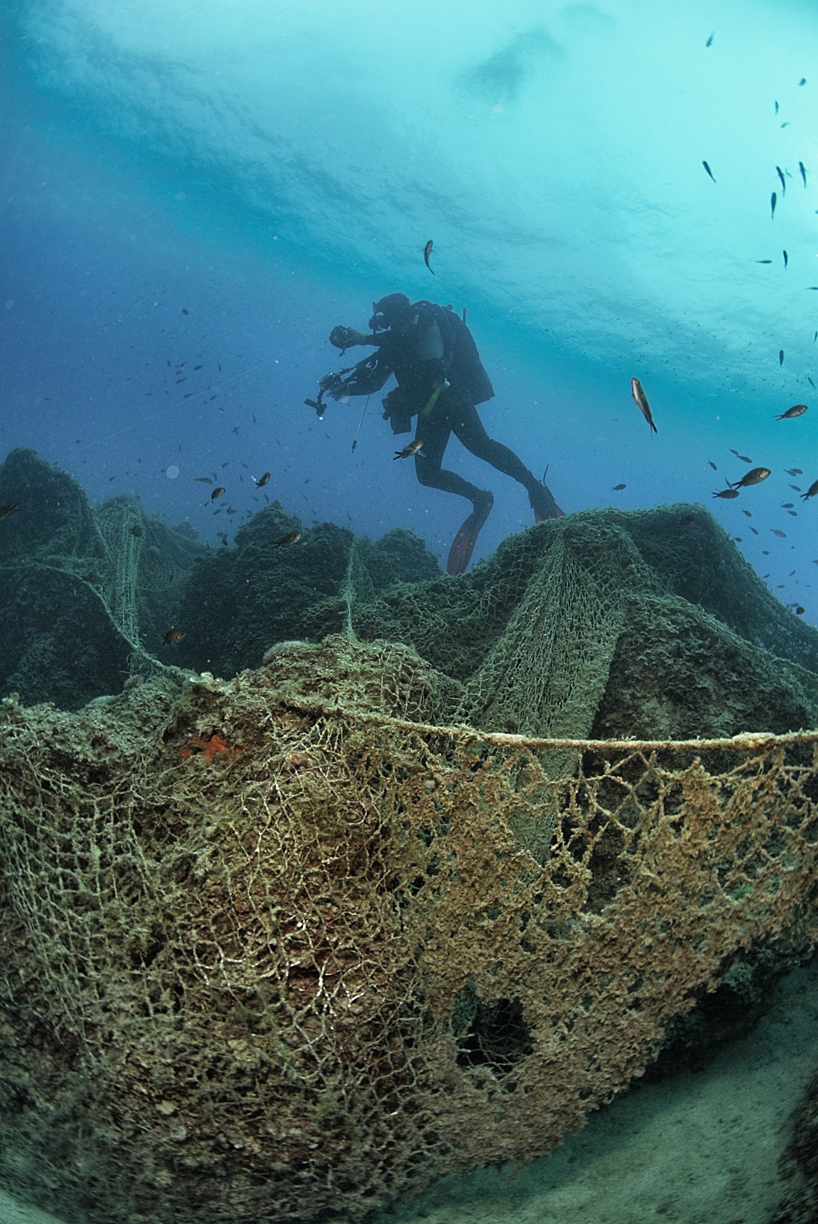 pesca a strascico sfortunata