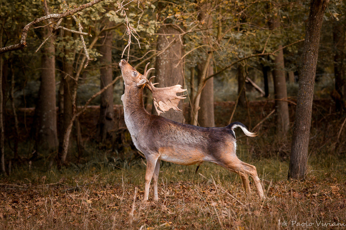 I could get there...