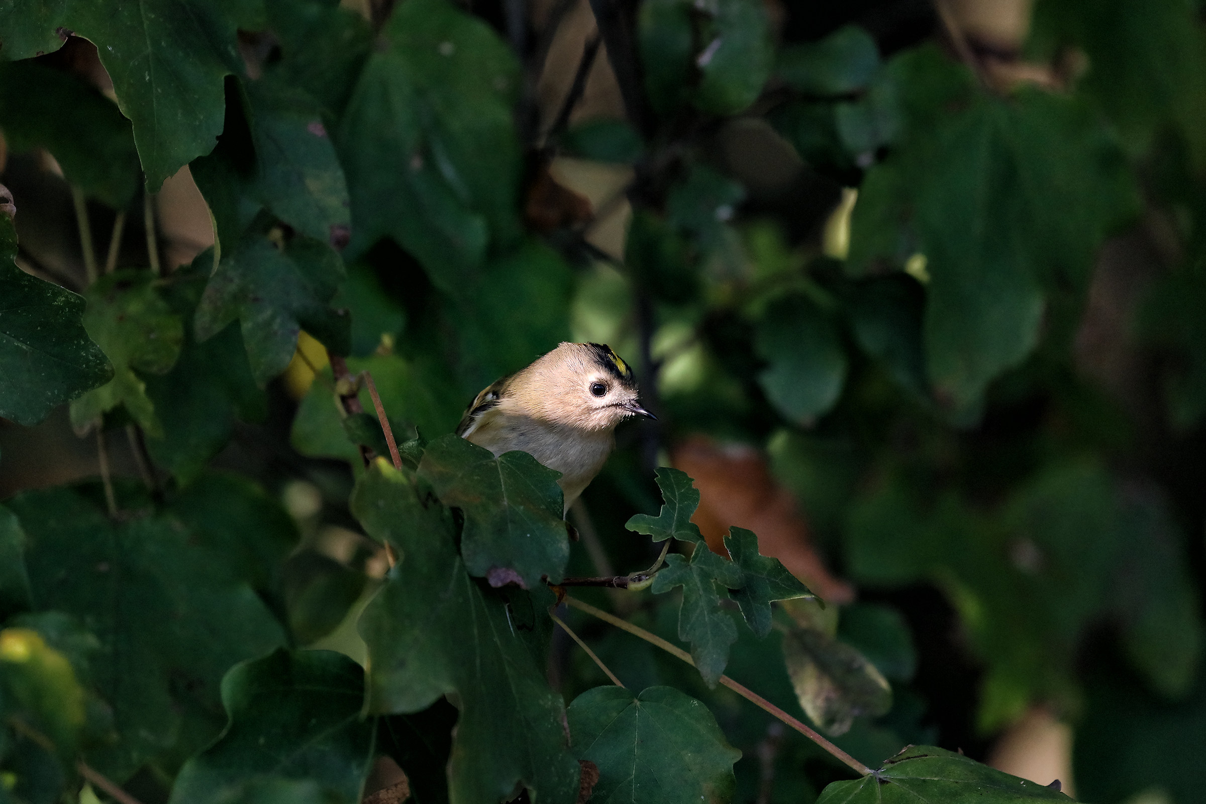 I enlighten me immensely