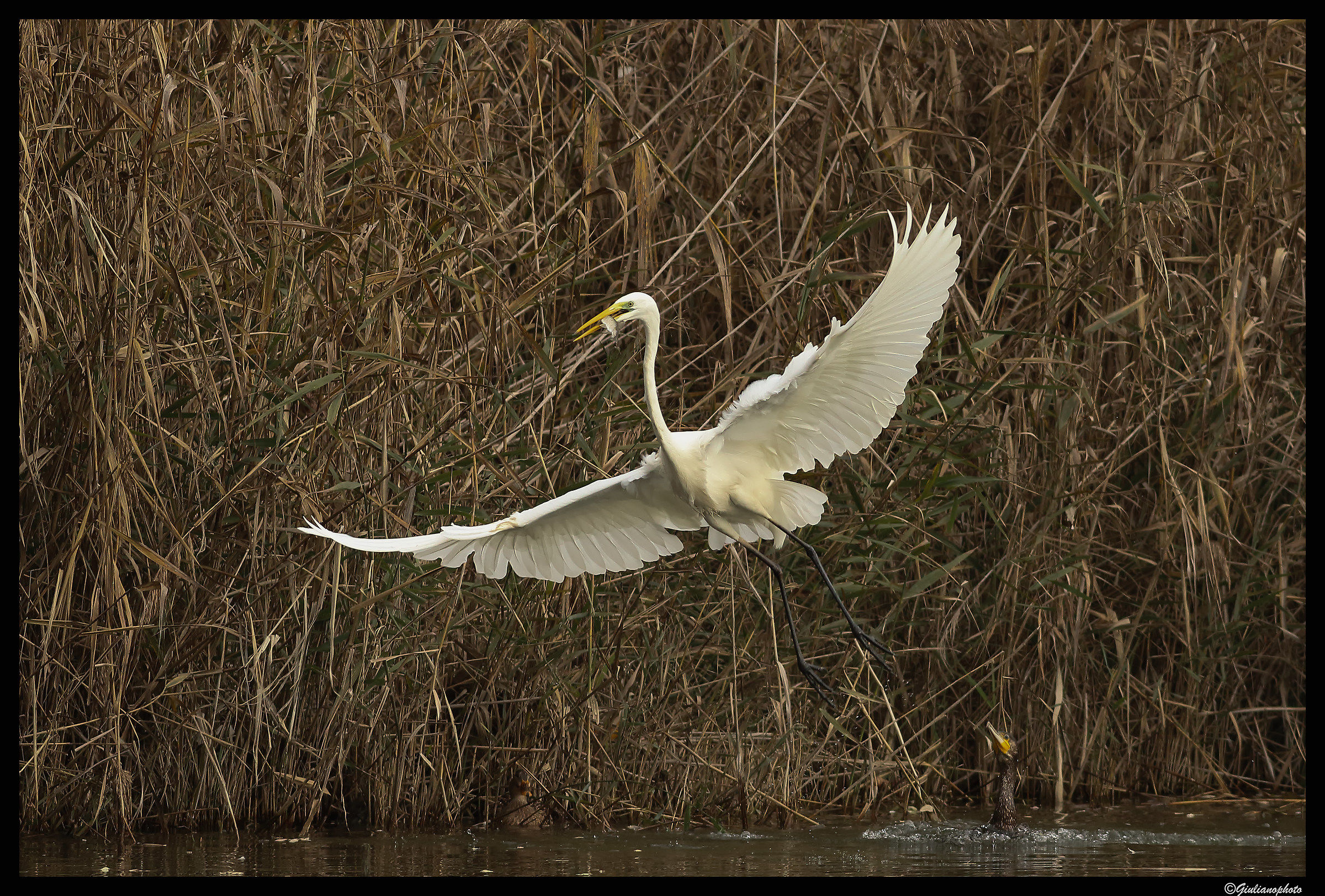 At breakfast... sushi