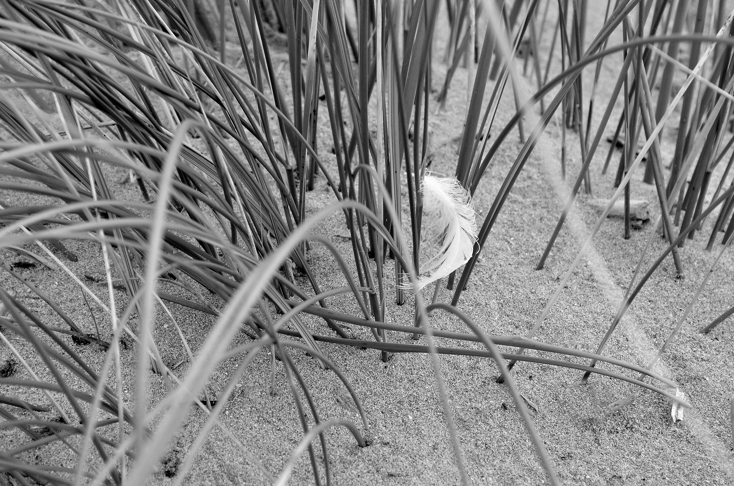 Magically suspended b/w