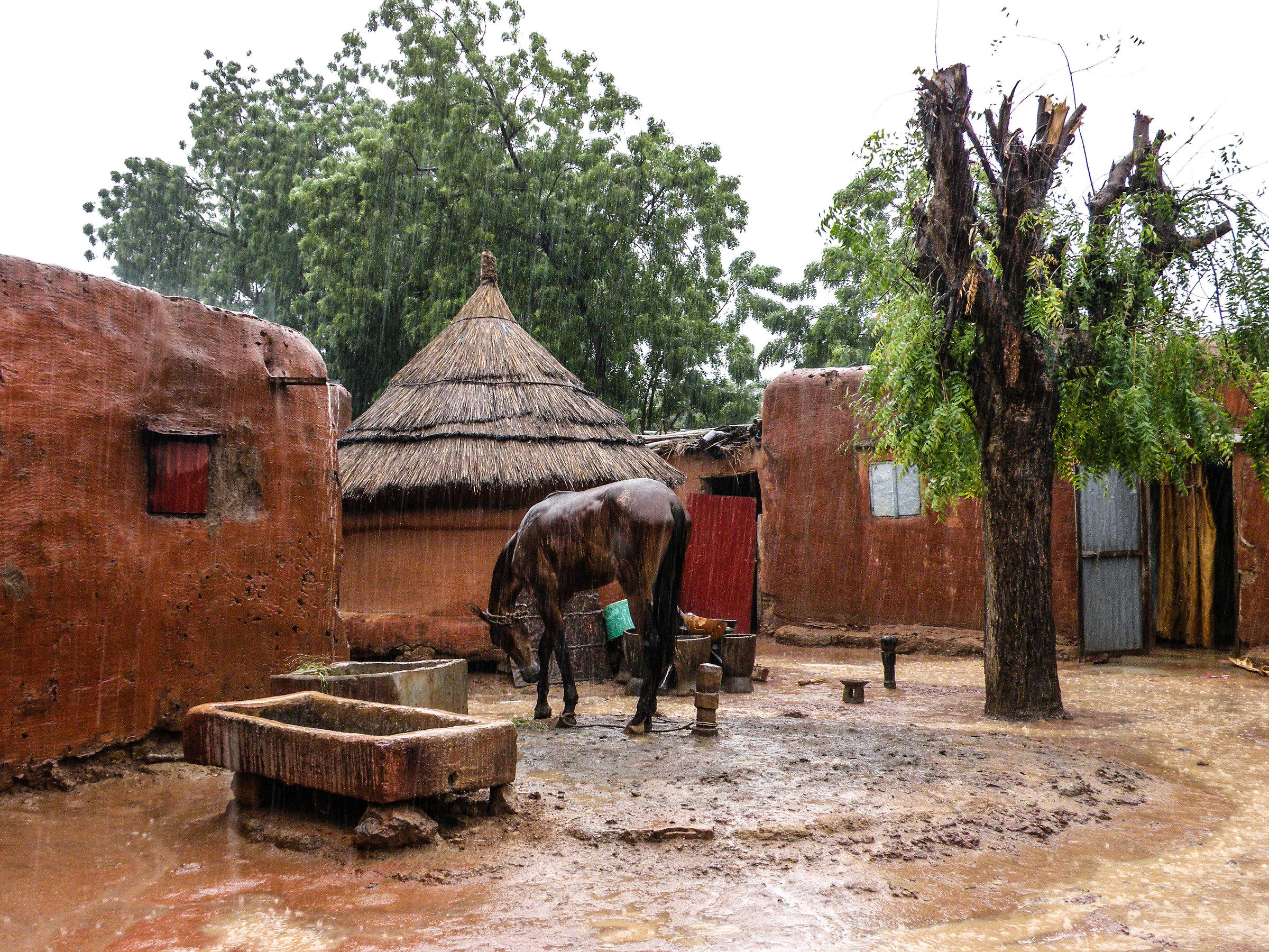 stagione delle piogge