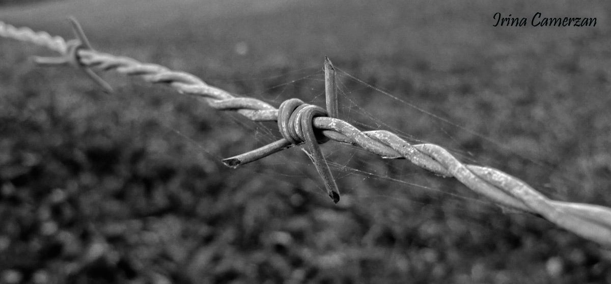 e se fosse per sempre...