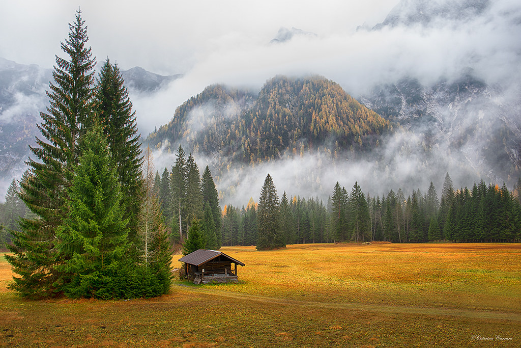 In the Enchanted Forest of Auronzo