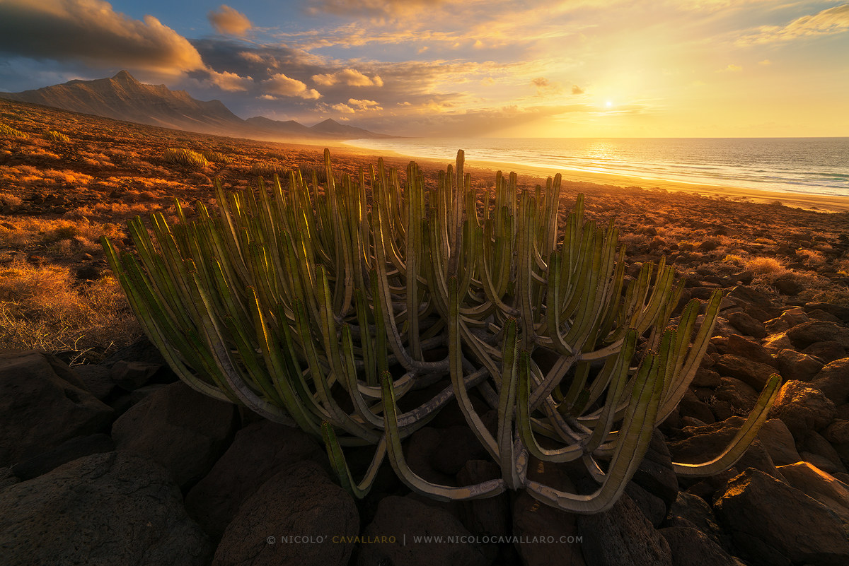 Fuerteventura-Cofete Sunset