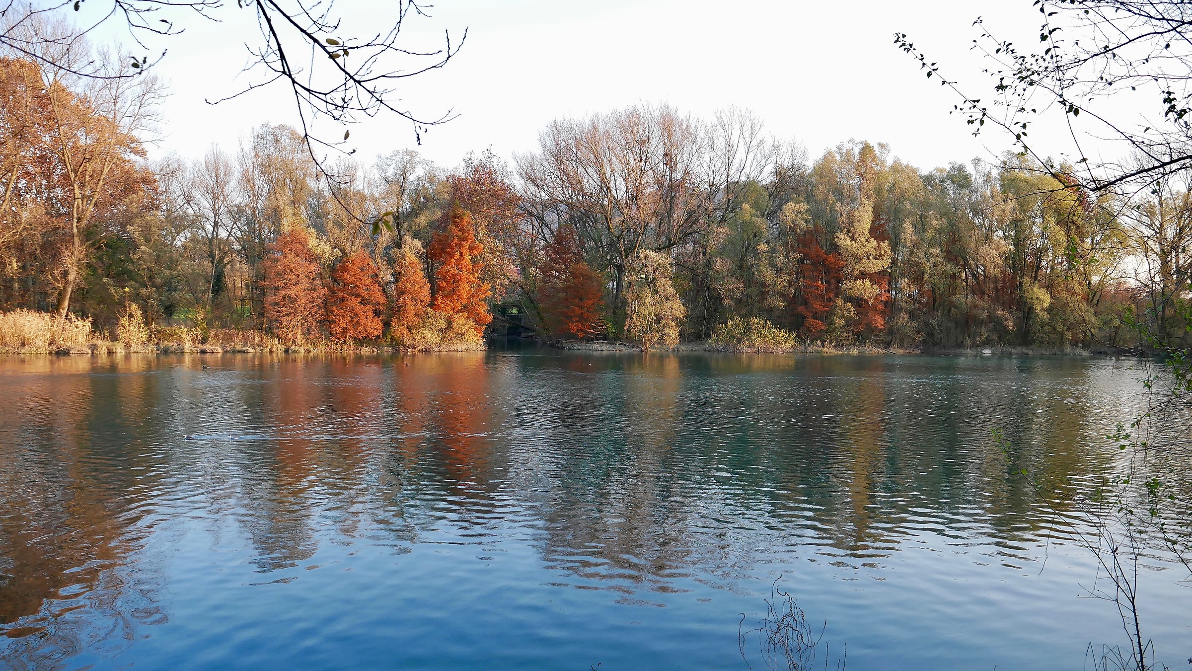 Adda, colori d'autunno