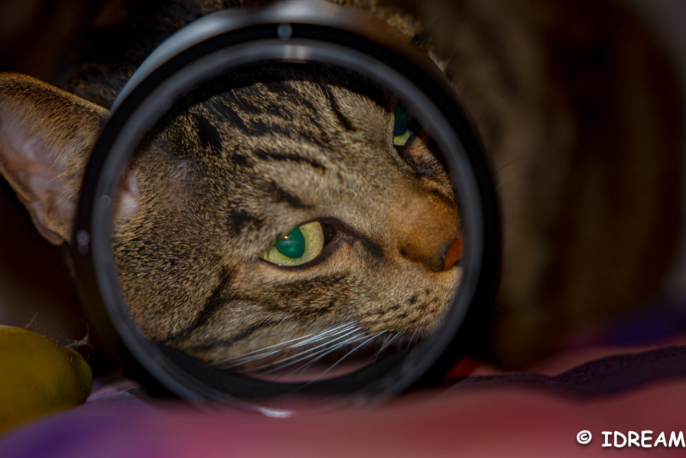 Ti tengo d'occhio...