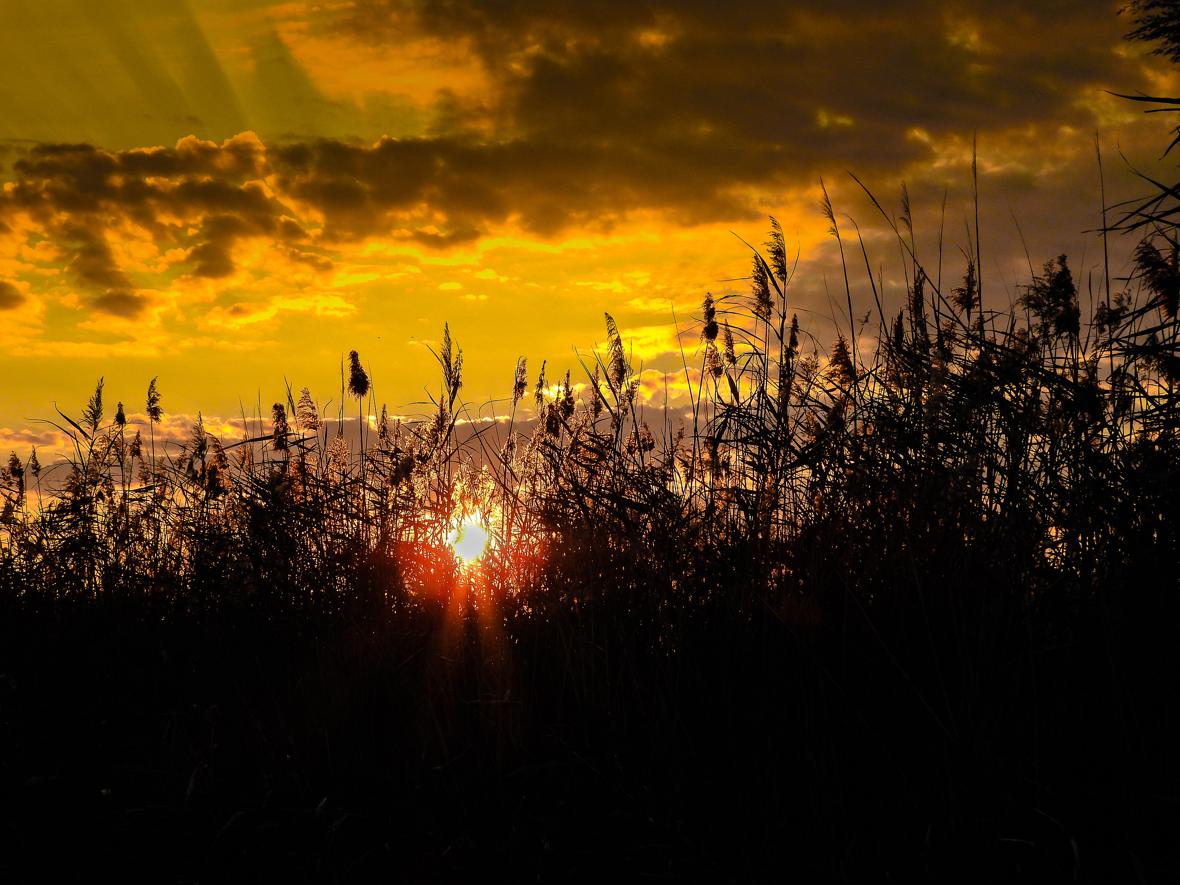 The arrival of the sunset