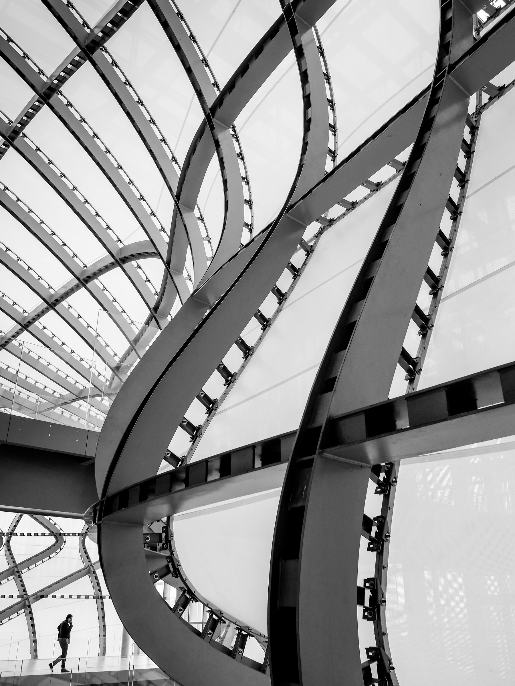 Giona nel ventre della balena