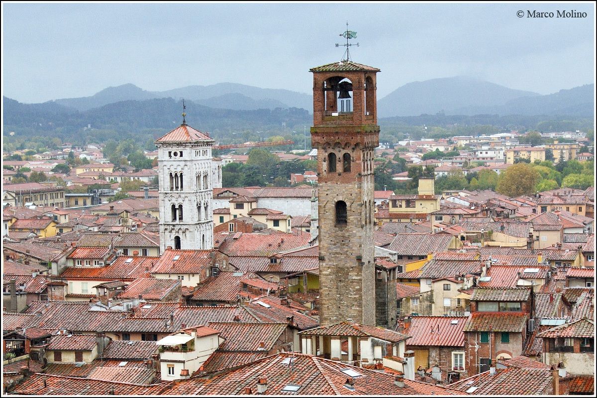 Lucca, Panorama dalla Torre Guinigi