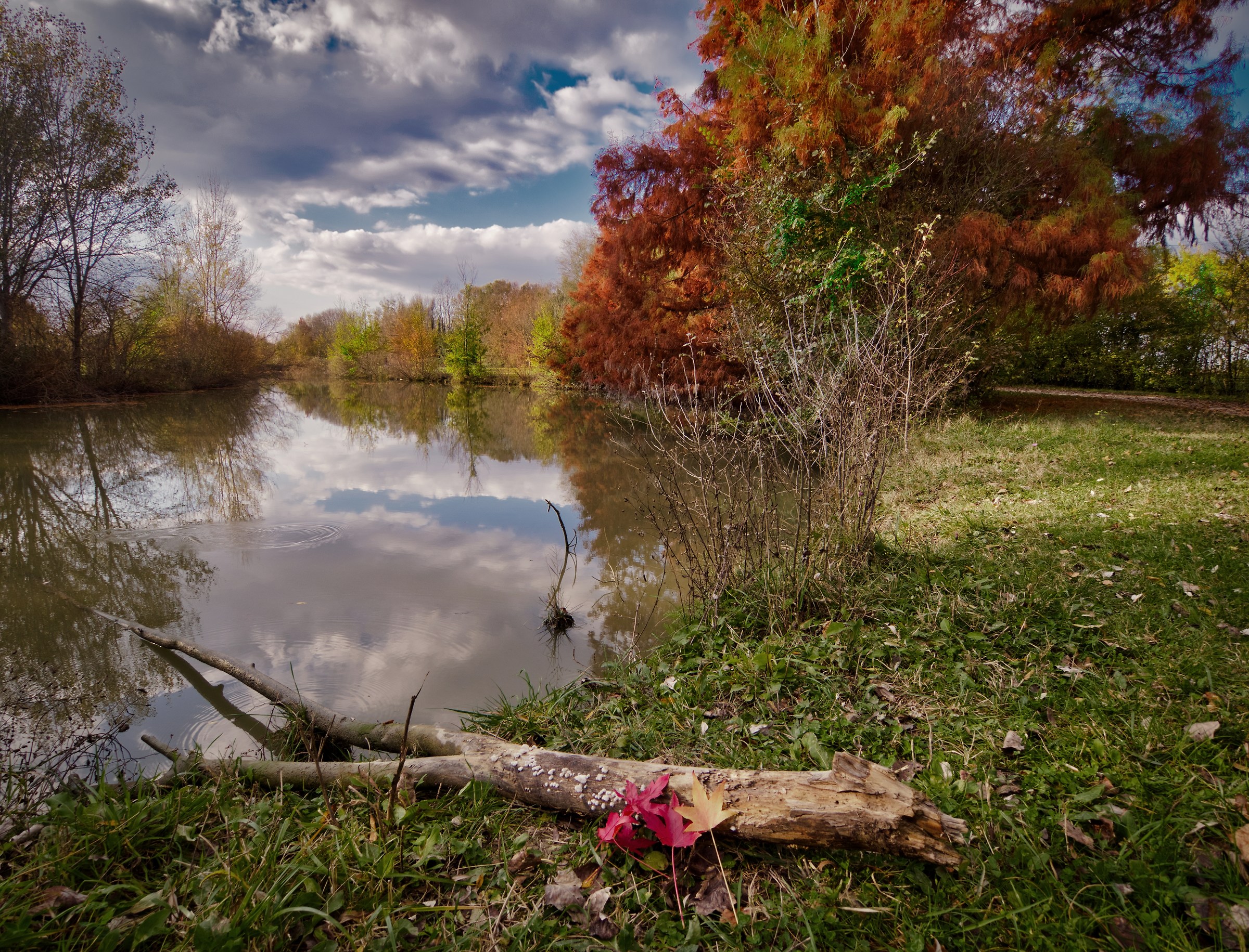 The warm colors of autumn