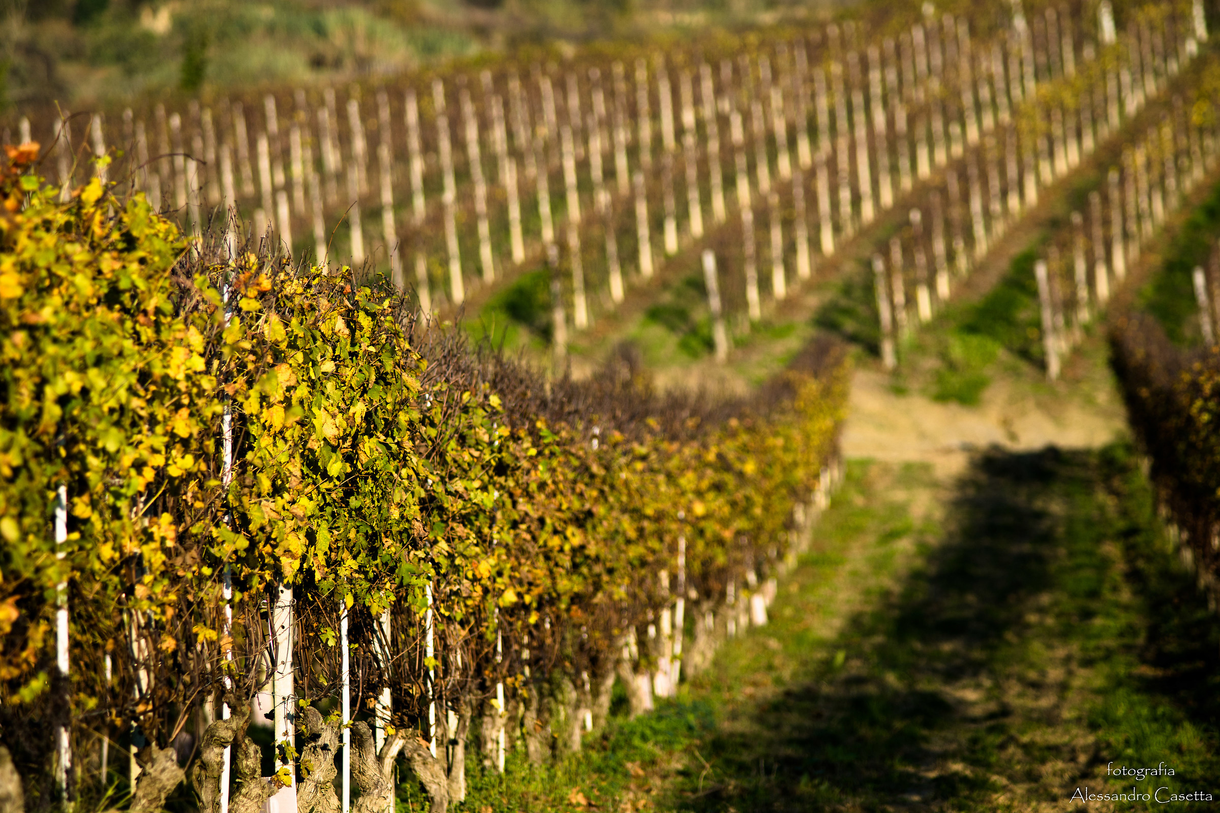 Colori d'autunno - 2