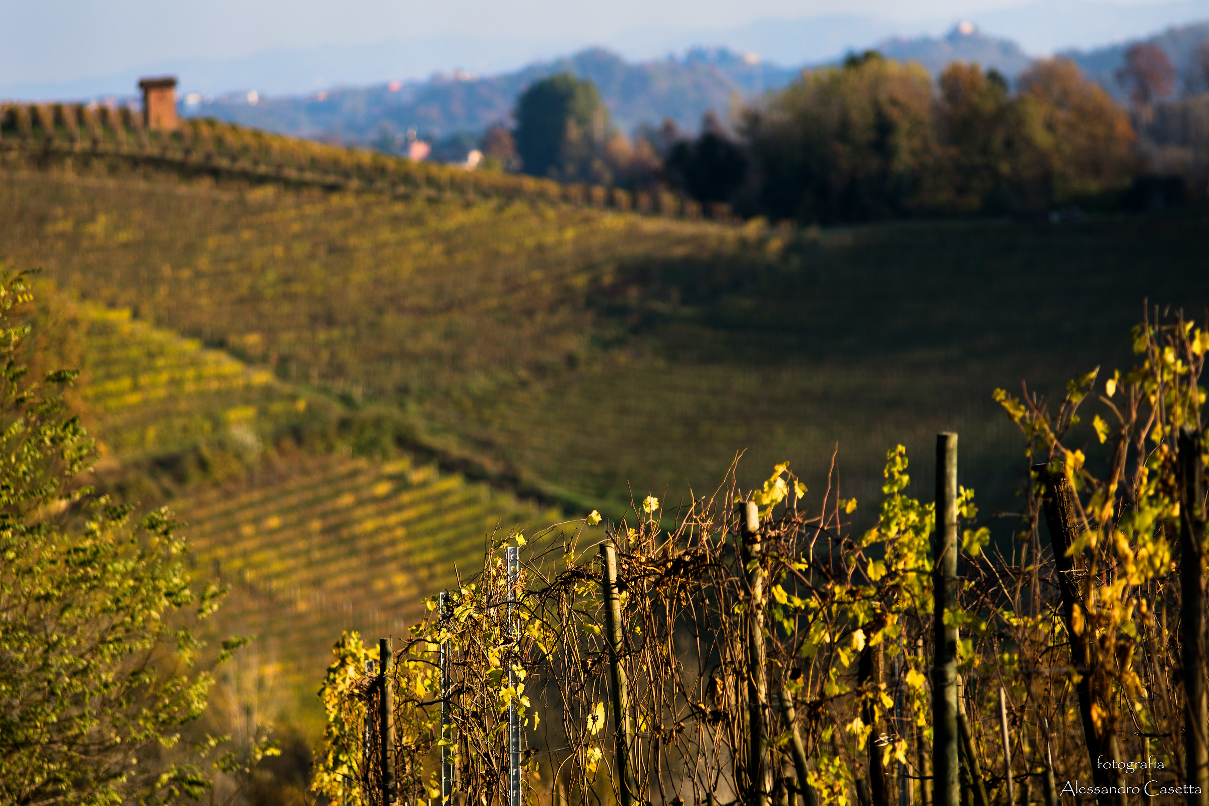 Colori d'autunno - 3