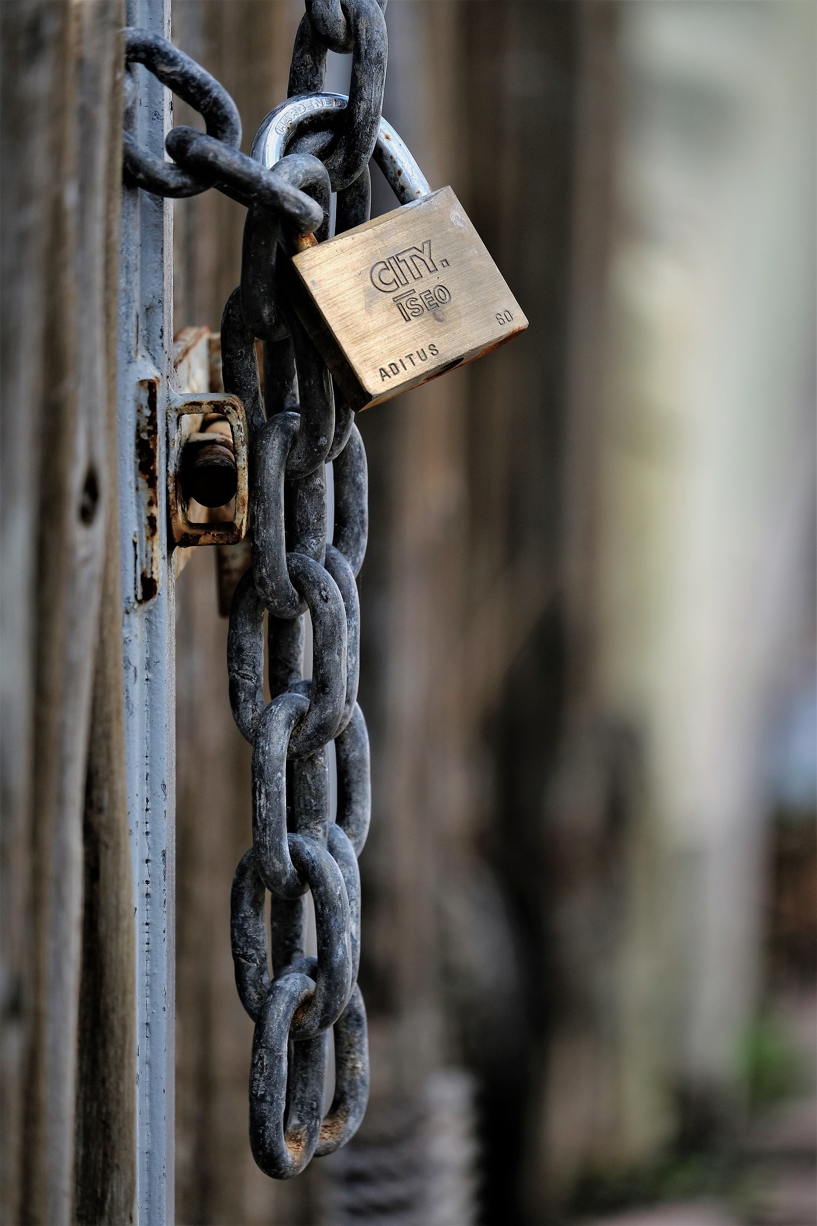 Autumn closed beaches