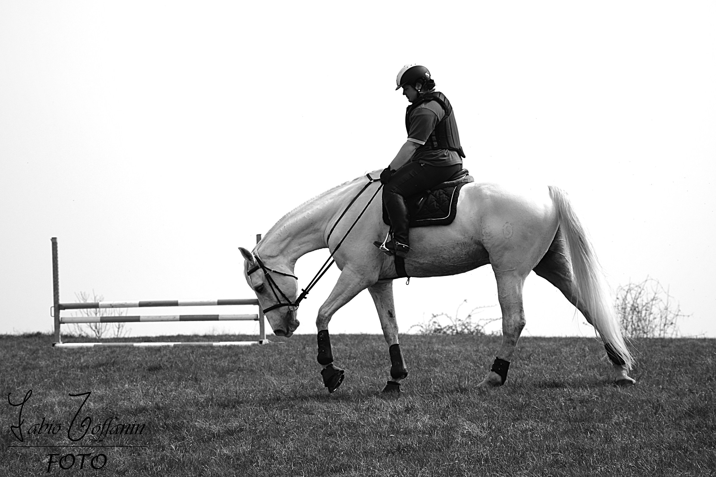 Ride, or the art of keeping the horse between you and