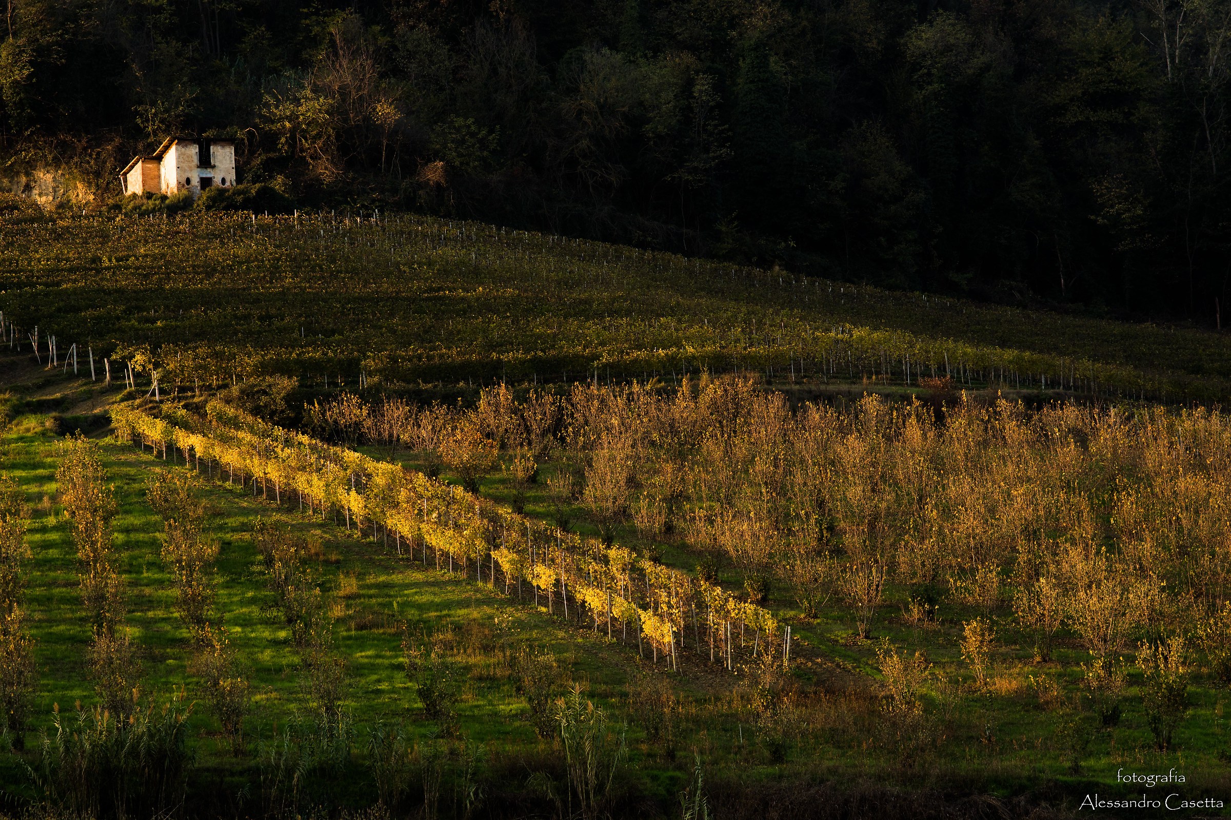 Colori d'autunno - 4