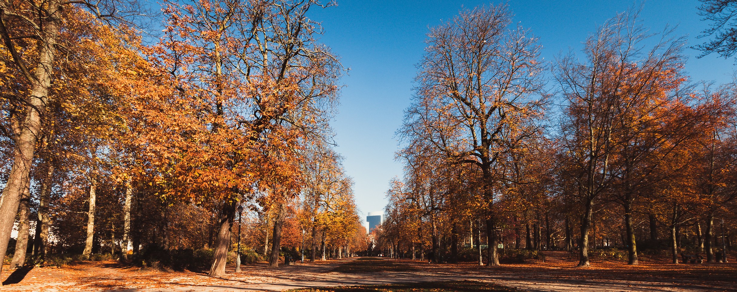 "Parc du Bruxelles" in red