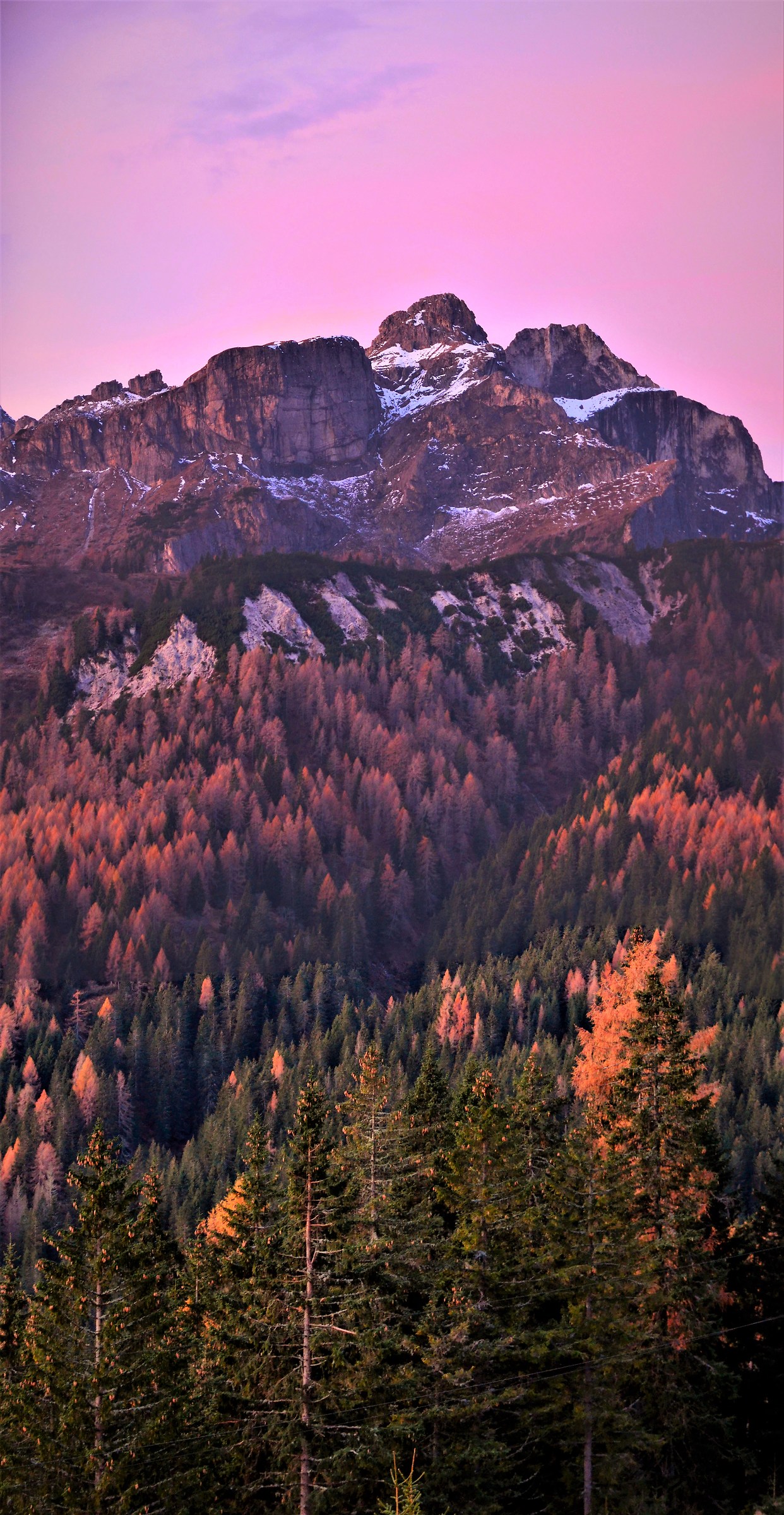 Eos rododaktylos, l'alba dalle dita rosee