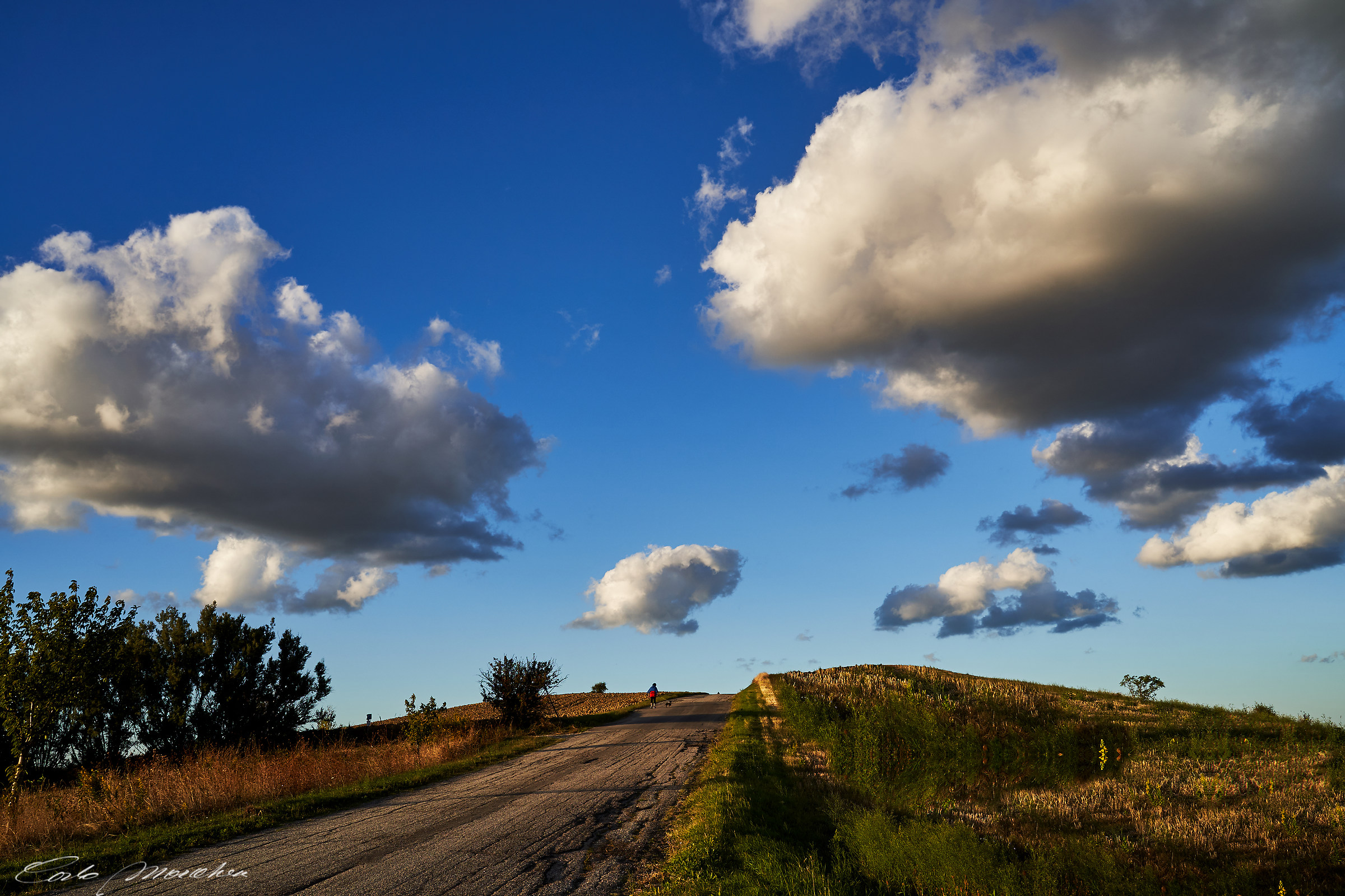 Walking With the Clouds