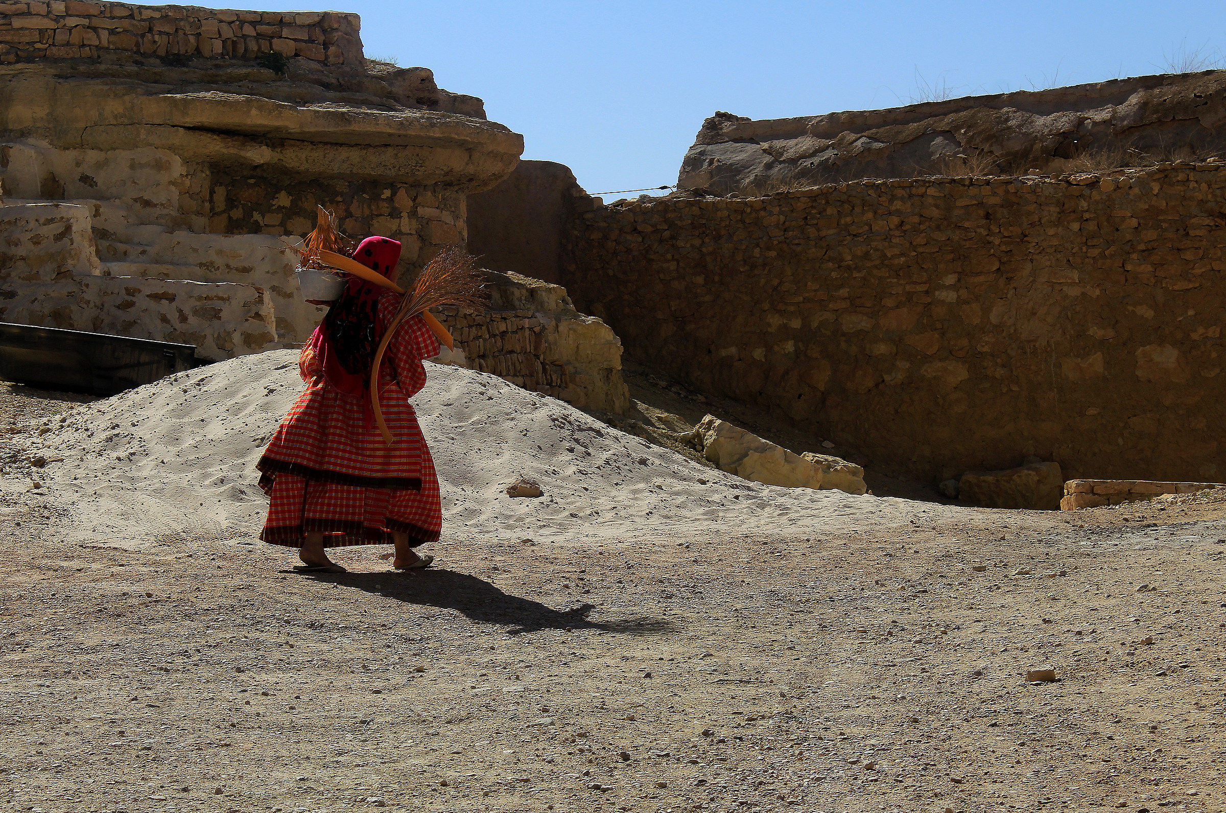 La raccoglitrice di datteri