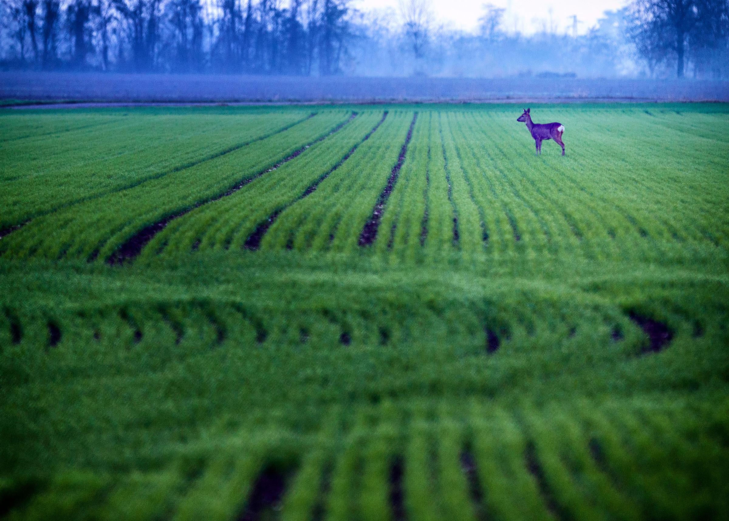 In ritardo per colpa tua...