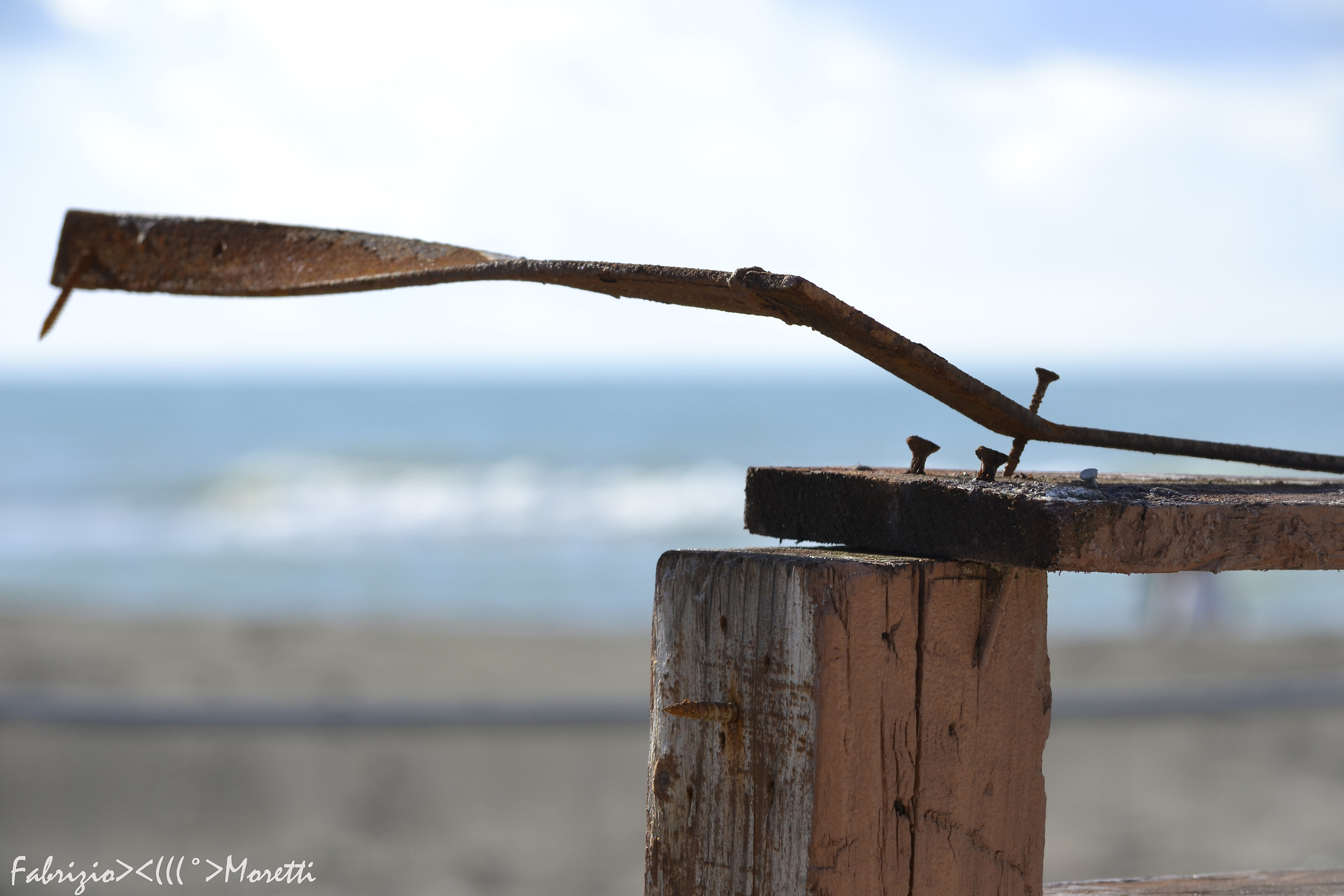 Remnants of the summer