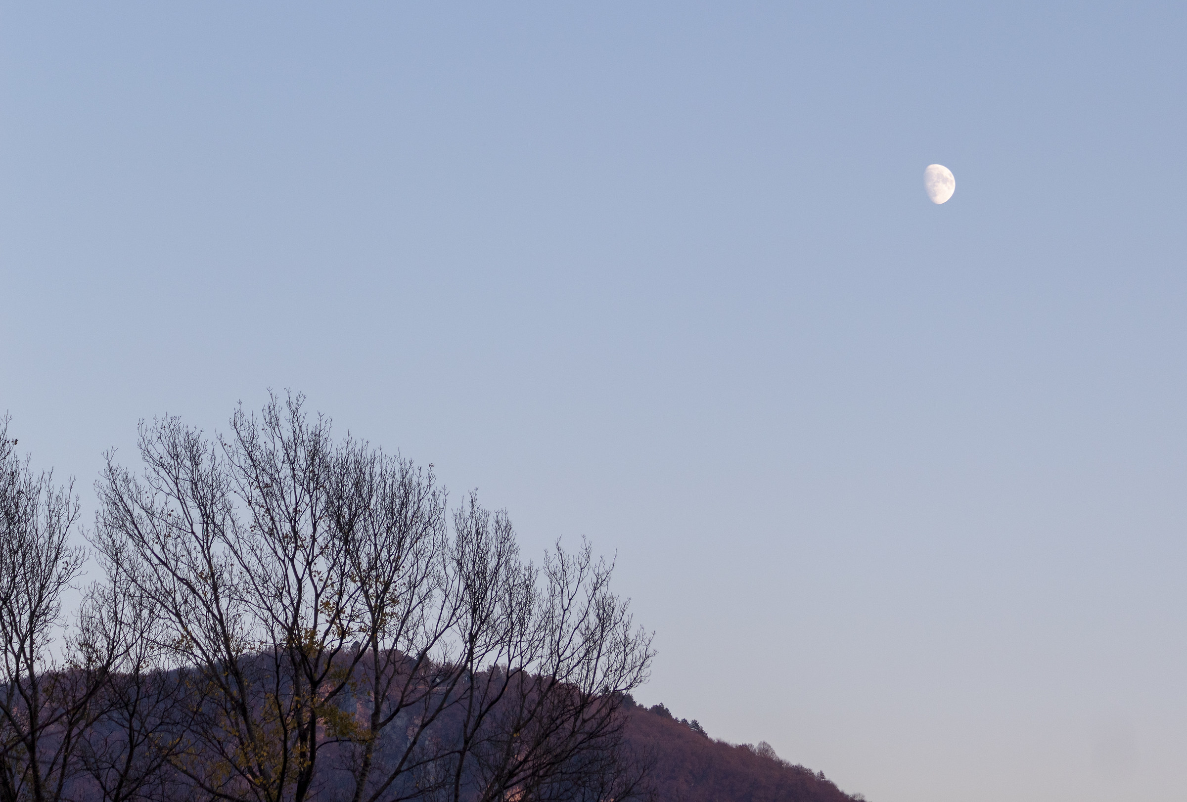 Luna al tramonto
