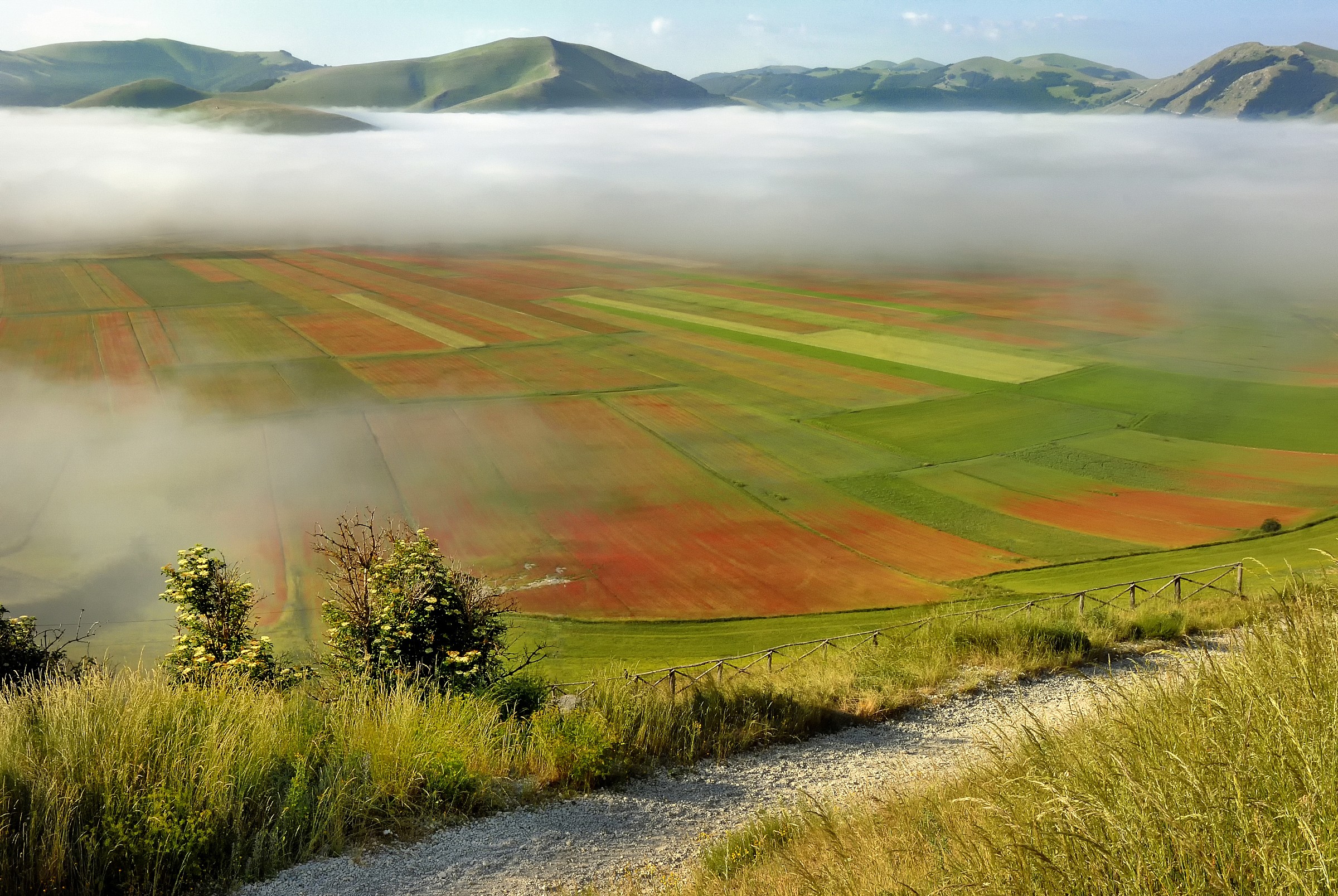 Le nebbie si diradano nella piana