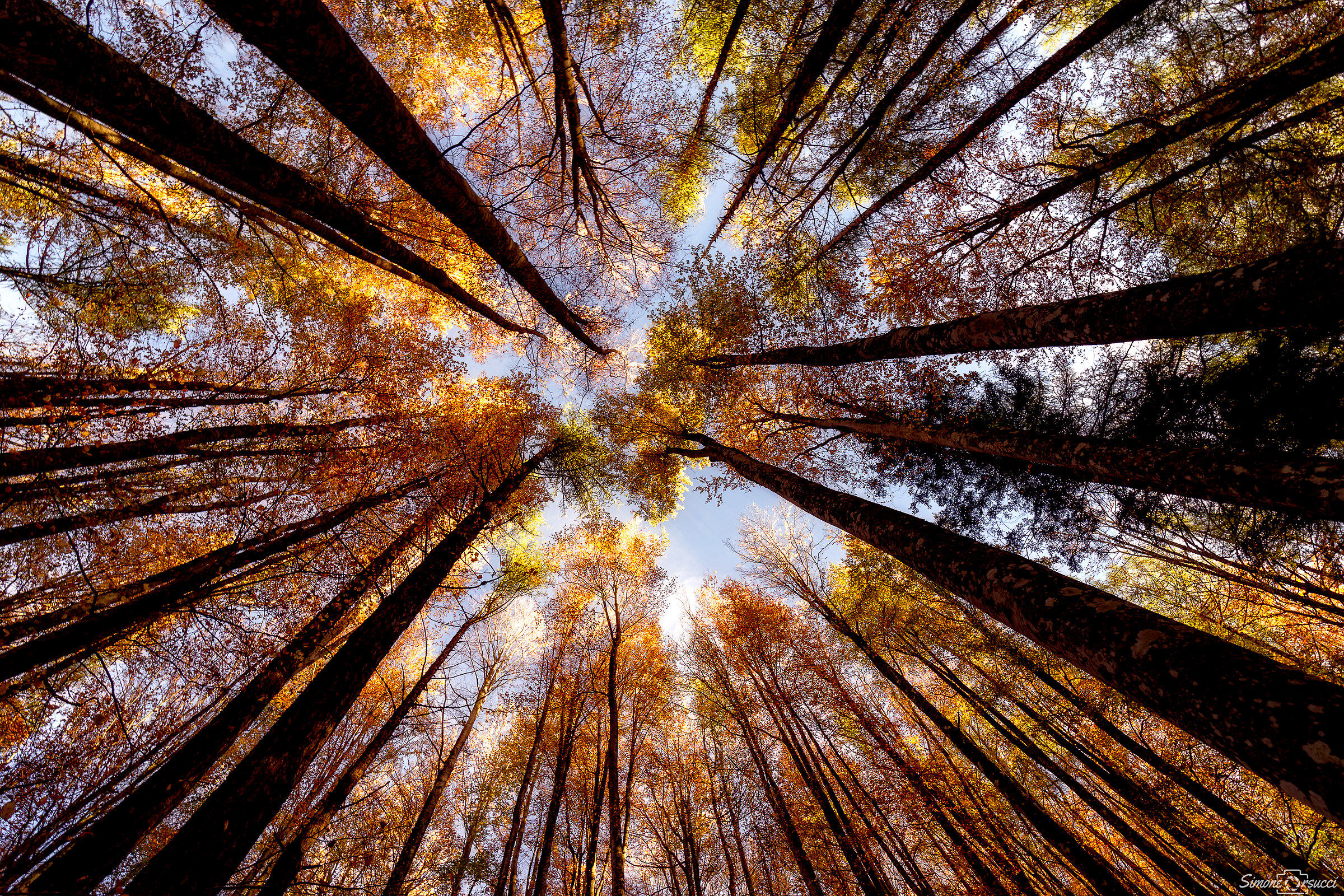 Con il naso all'insù - Passo dell'Abetone