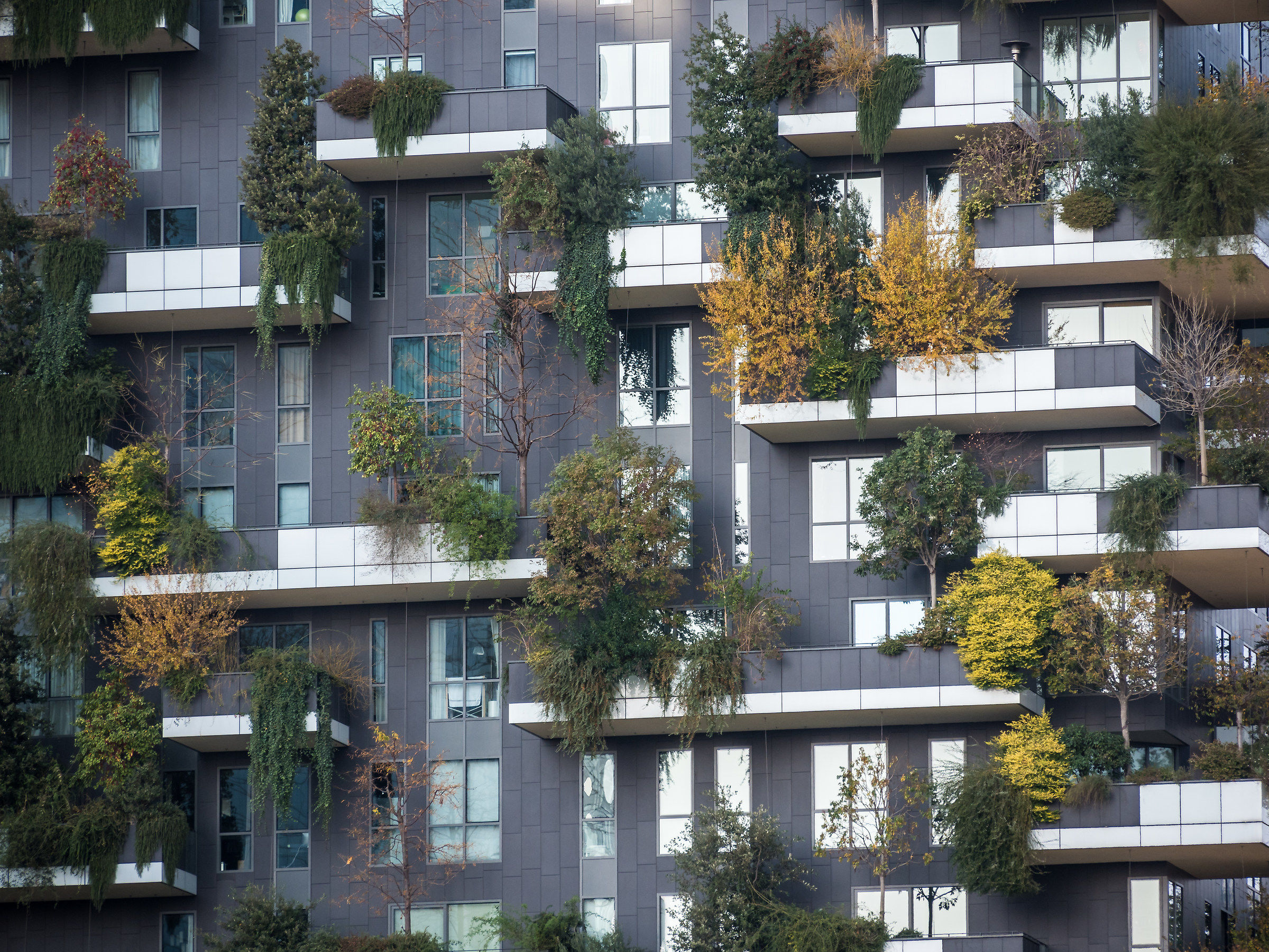 Bosco verticale