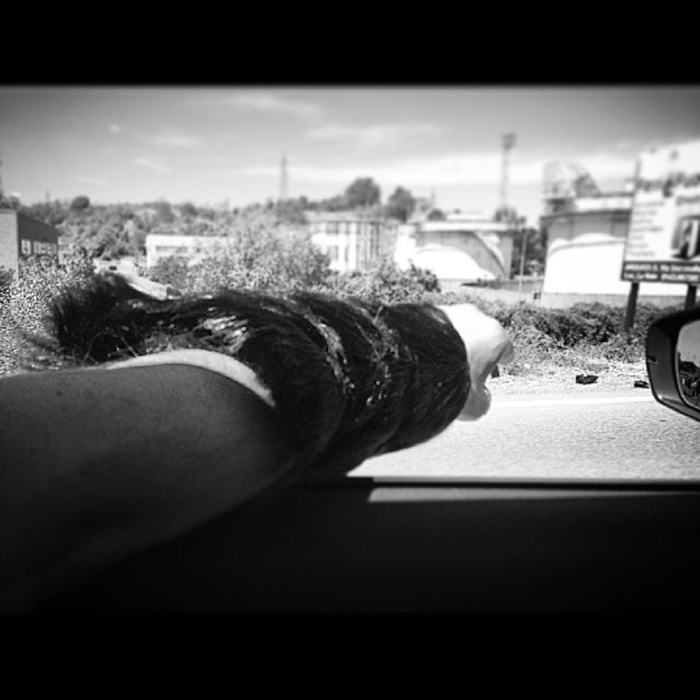 Road to Barbarian.. Baccanale Estate 2016