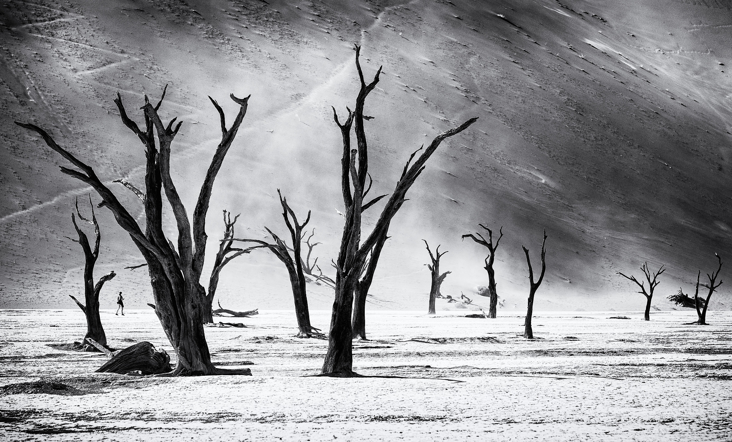 Ognuno ha il proprio deserto