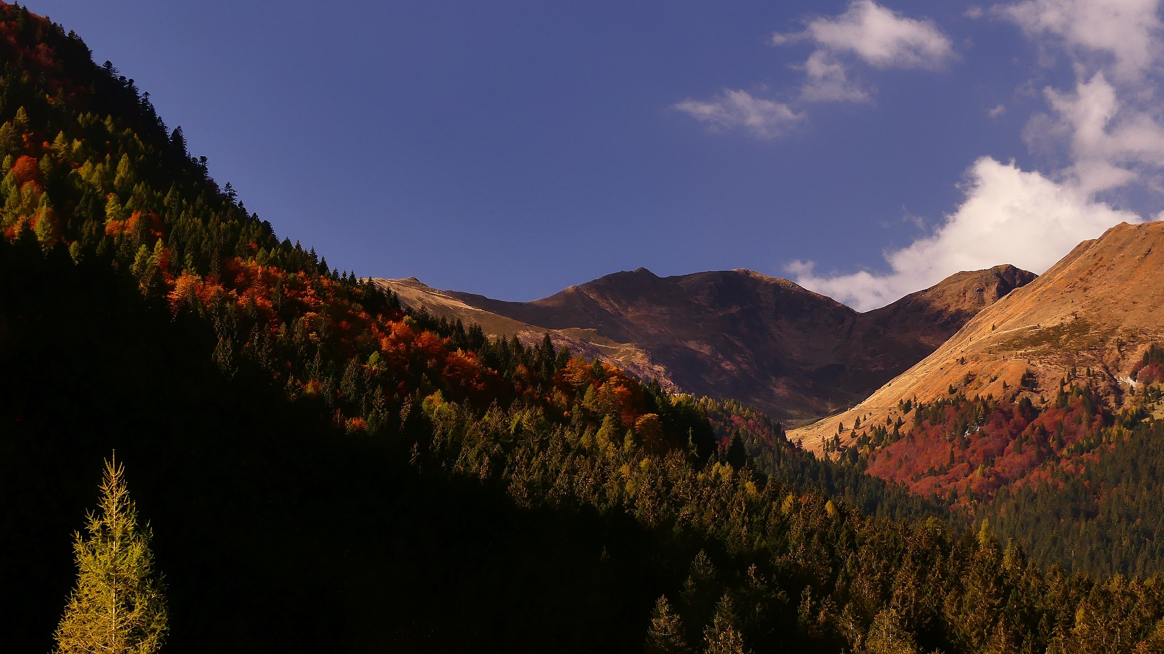 Alpi Carniche in autunno