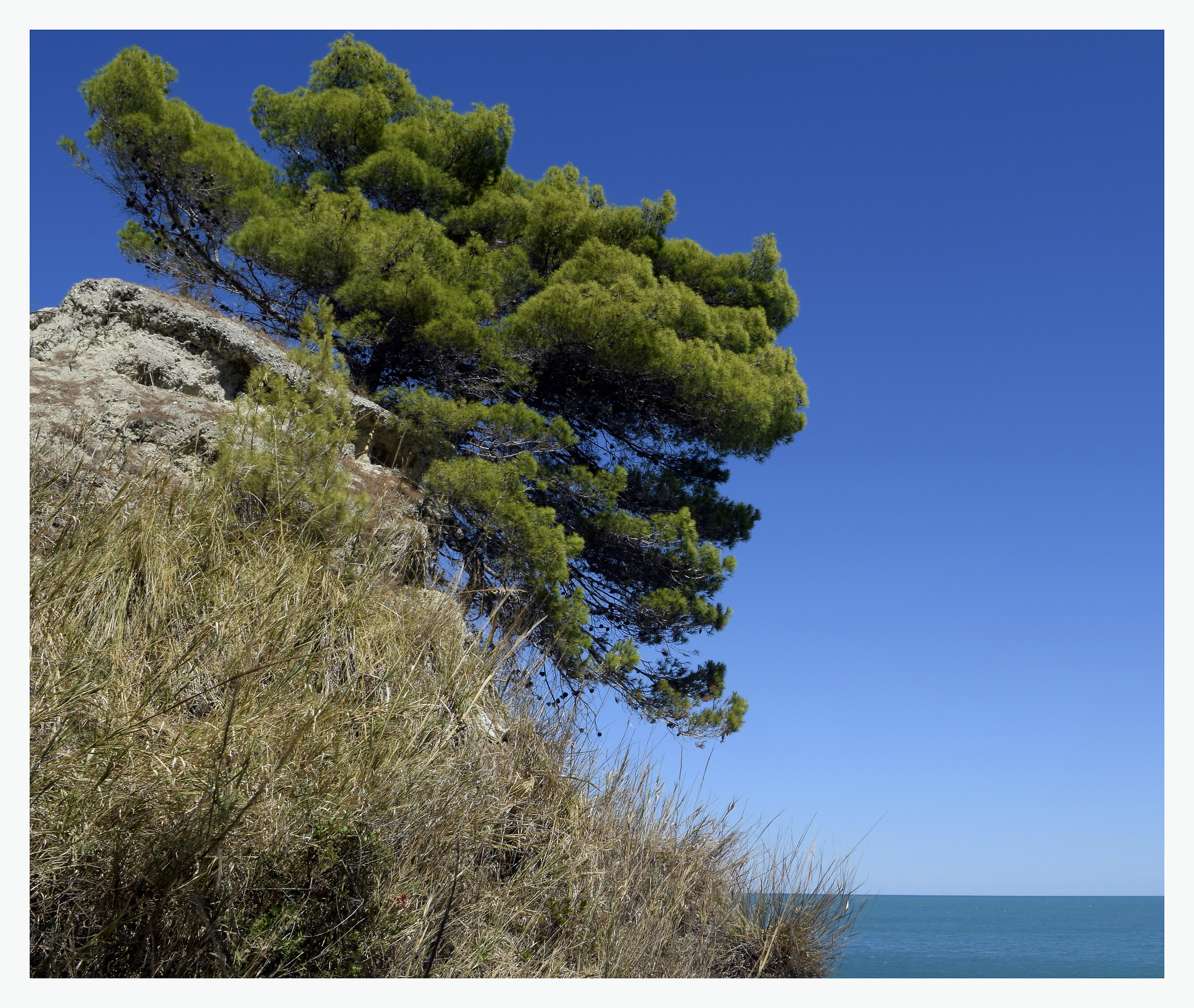 So far from the shore