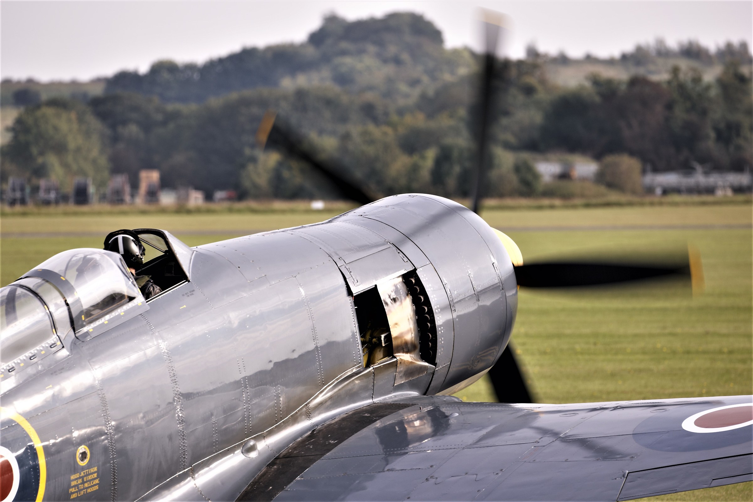 Gira...Gira...L' elica