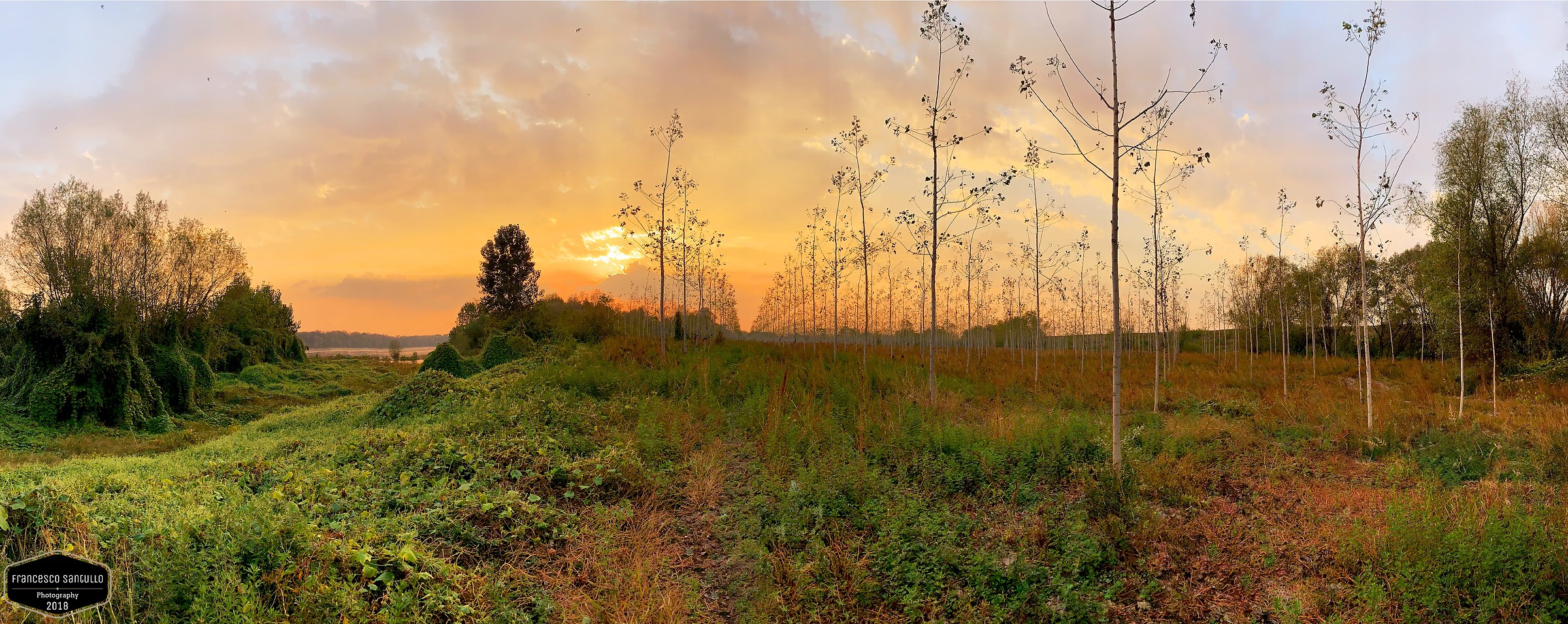 The Schoena of the Po..