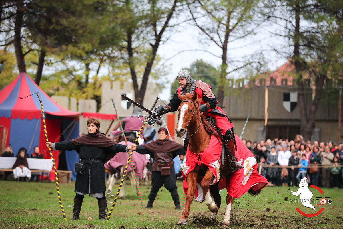 Il Cavaliere ai giochi