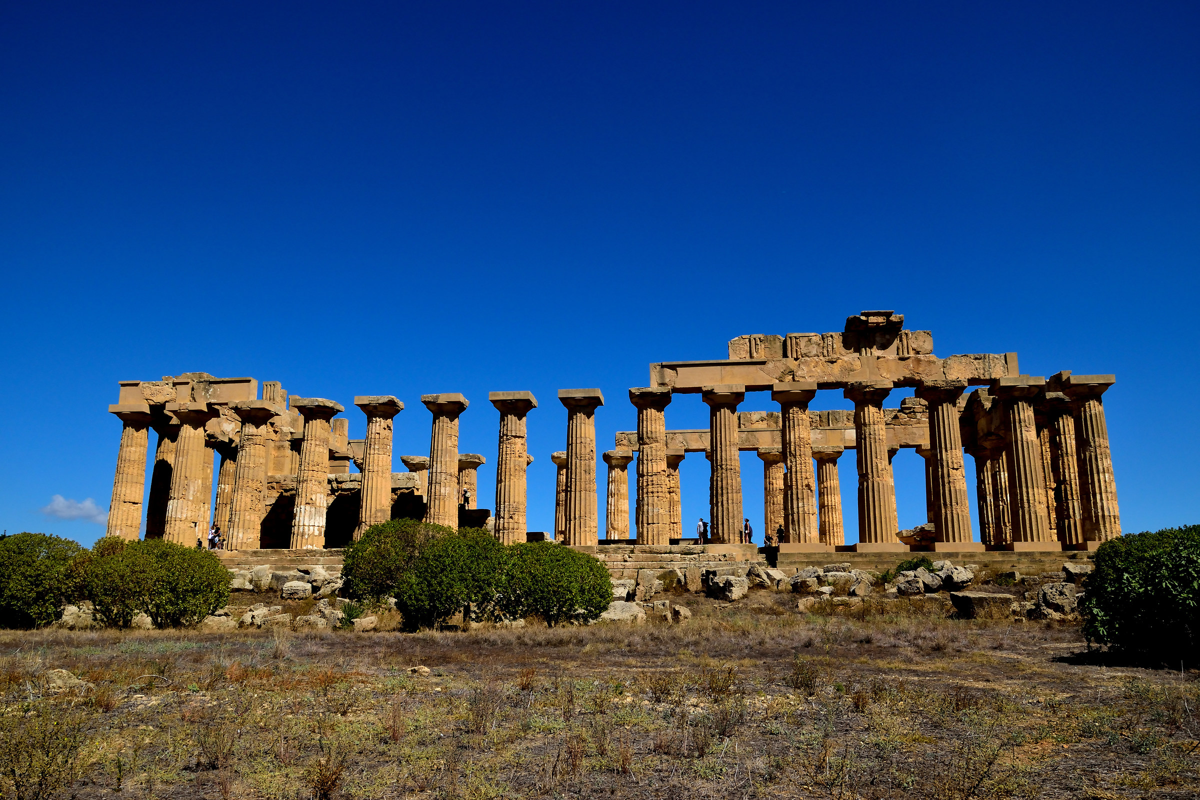 Tempio di Selinunte