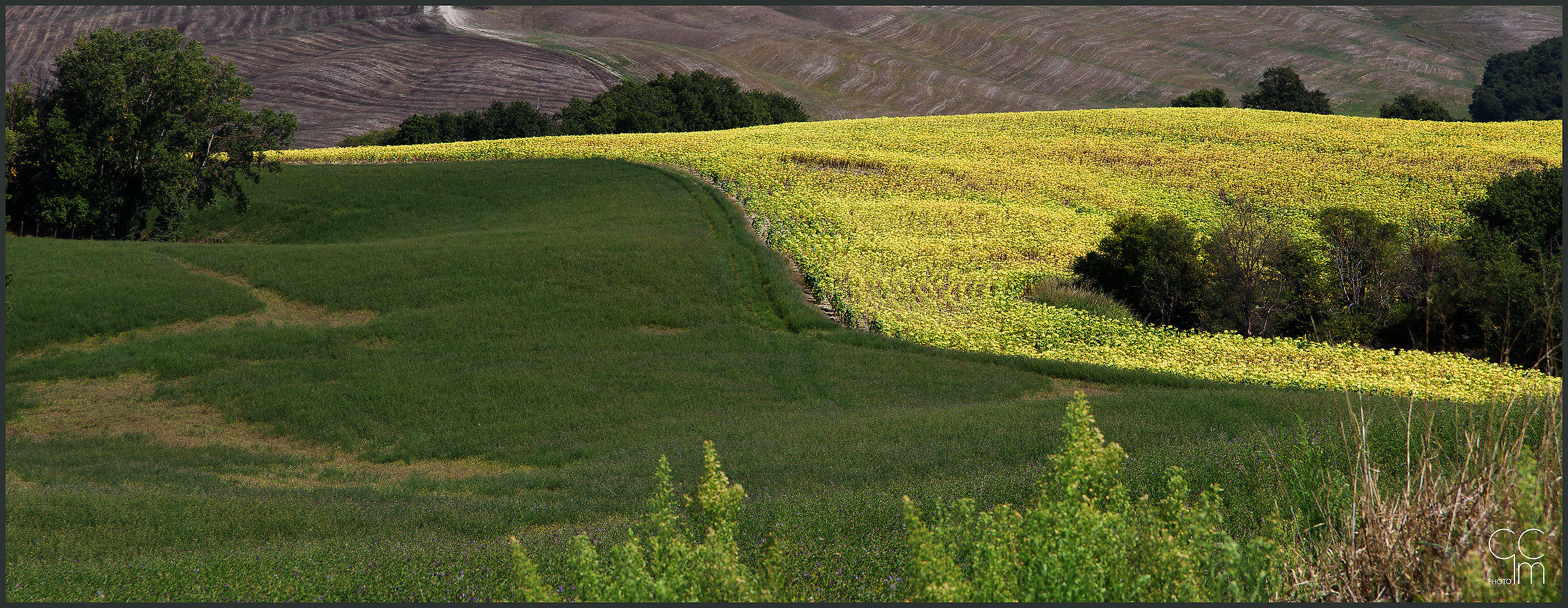 Crete Senesi