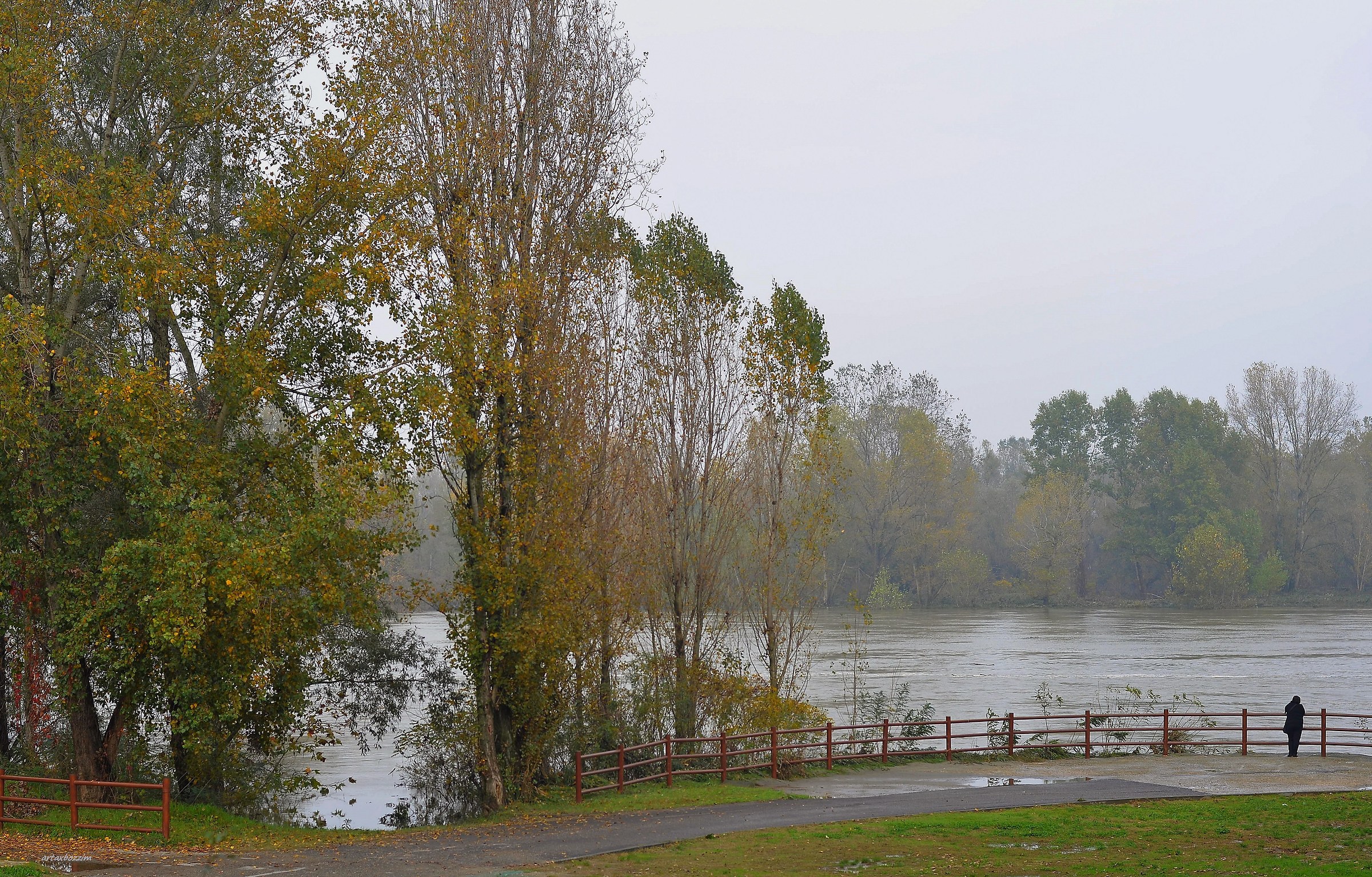 The little in Piacenza