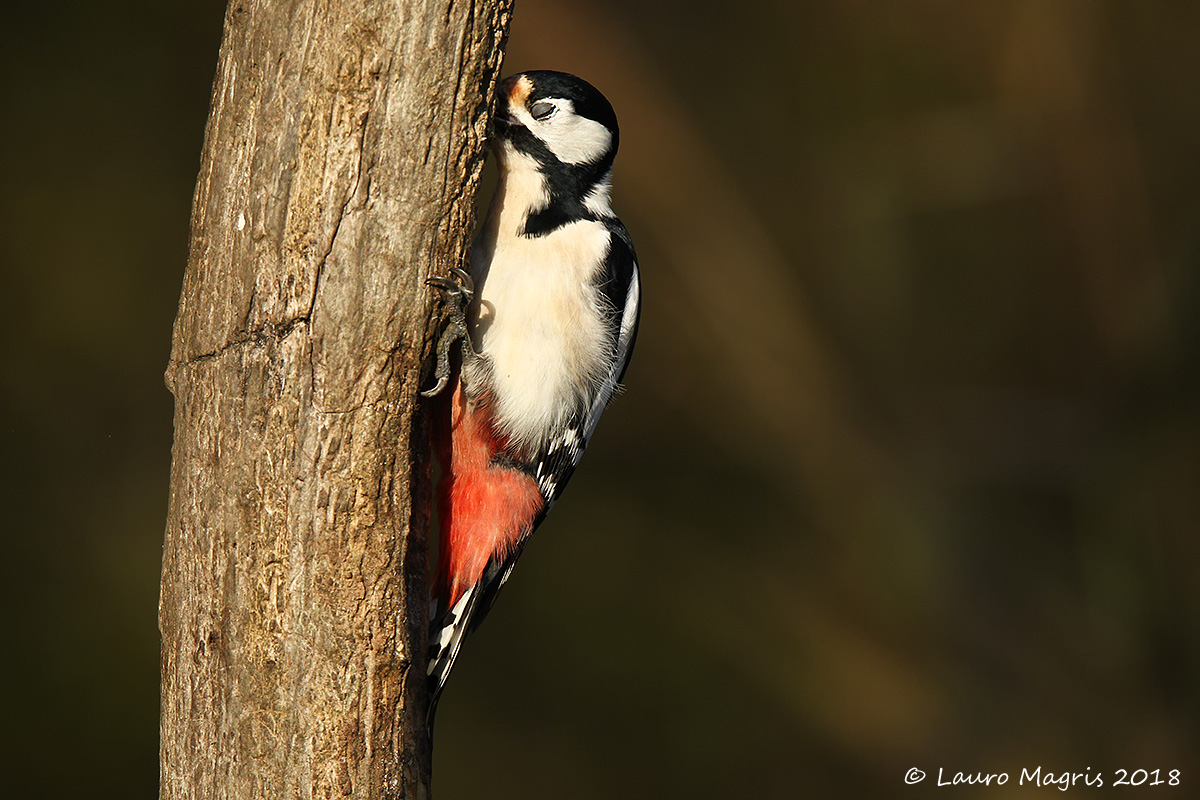 Tocca sotto a me ... 1 2 3 4 5 6 7  ...